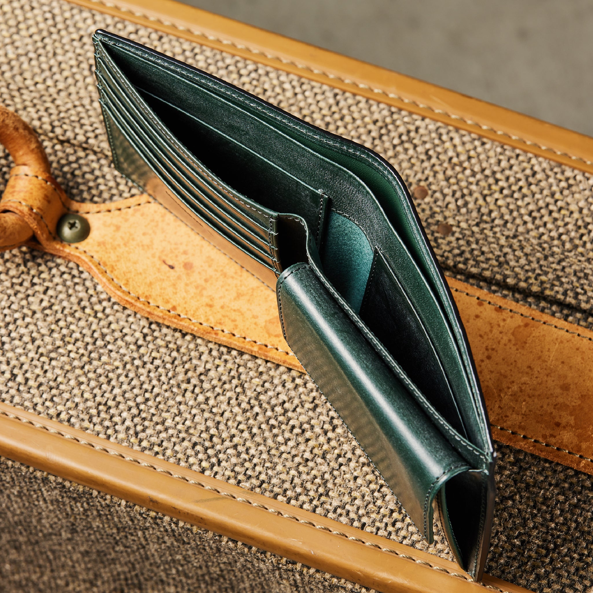 #Color_モスグリーン