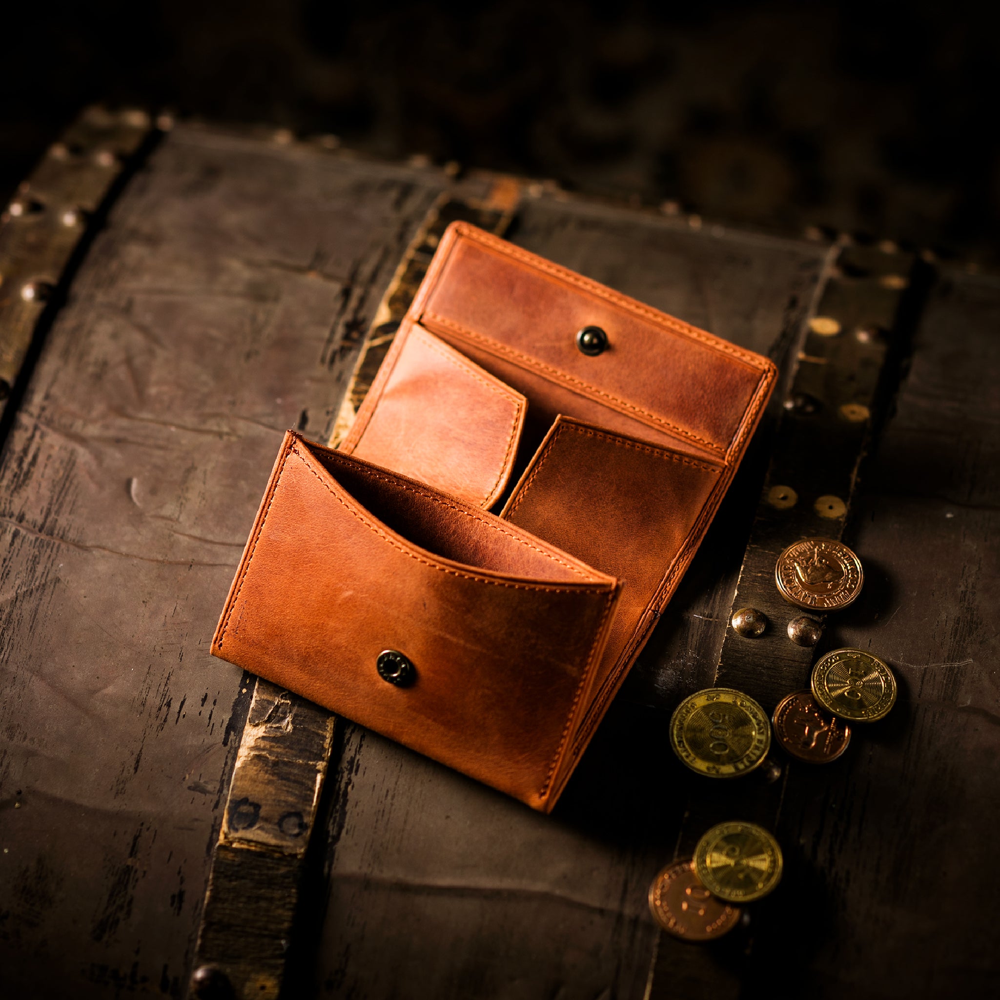 #Color_ワイルドブラウン