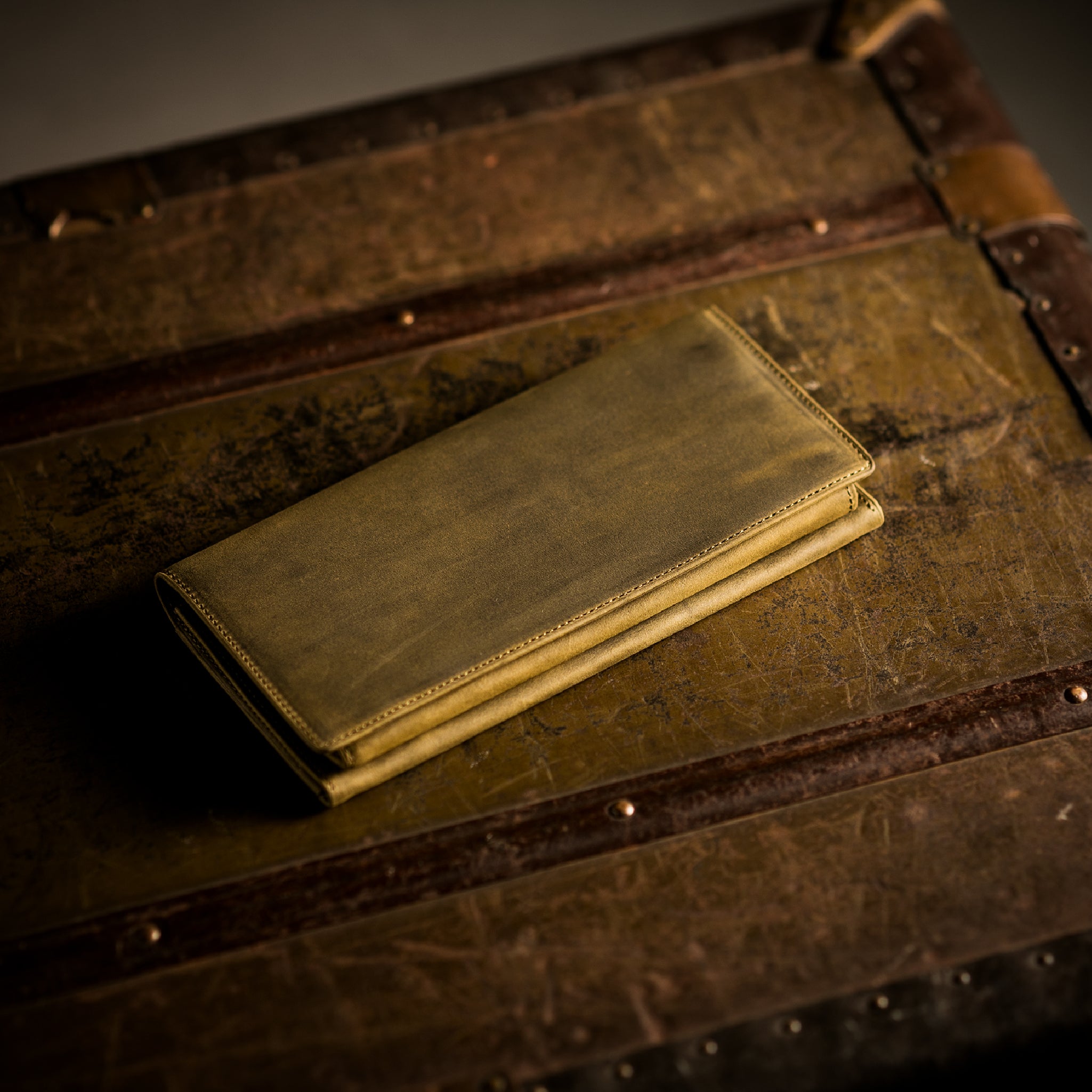 #Color_ワイルドオアシス