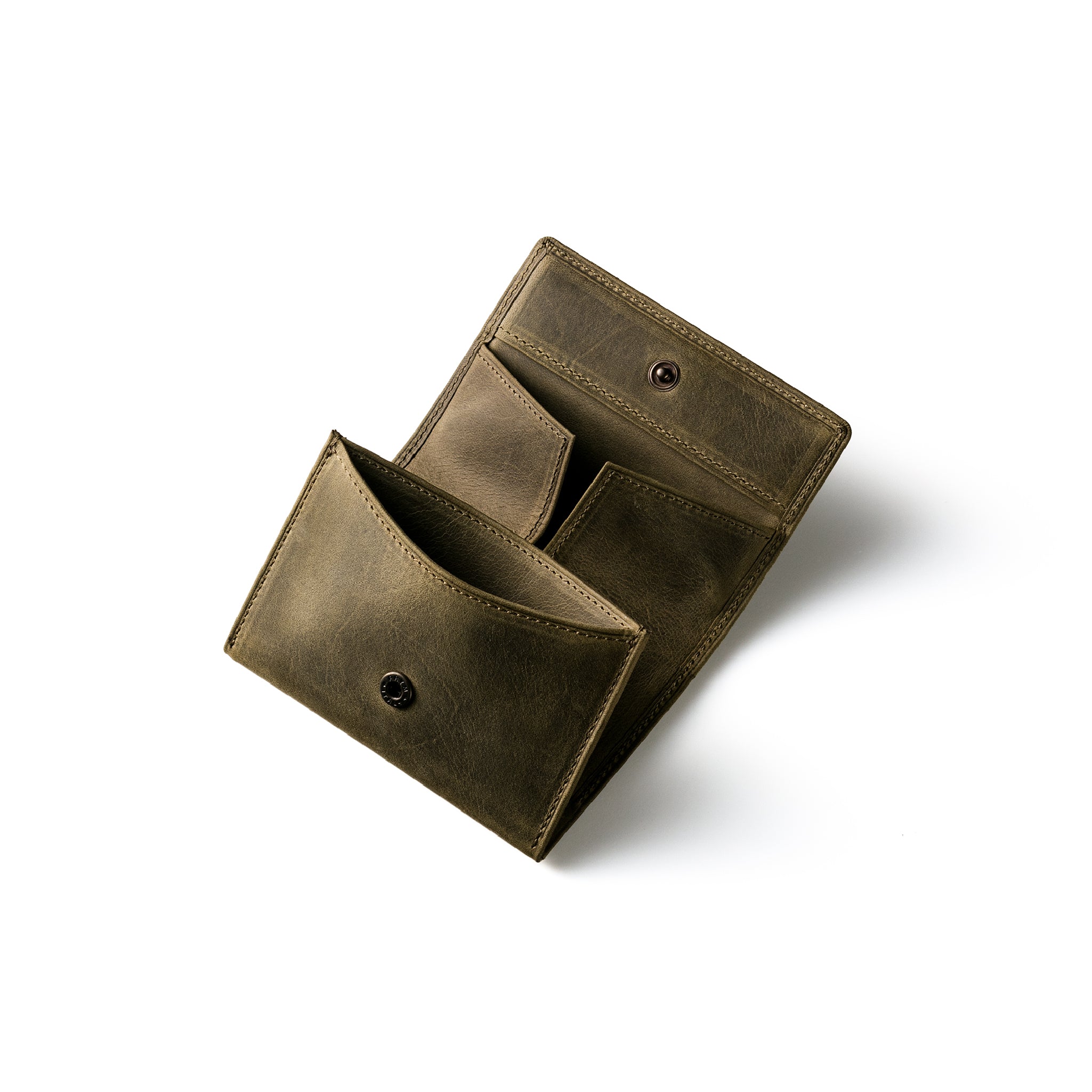 #Color_ワイルドオアシス