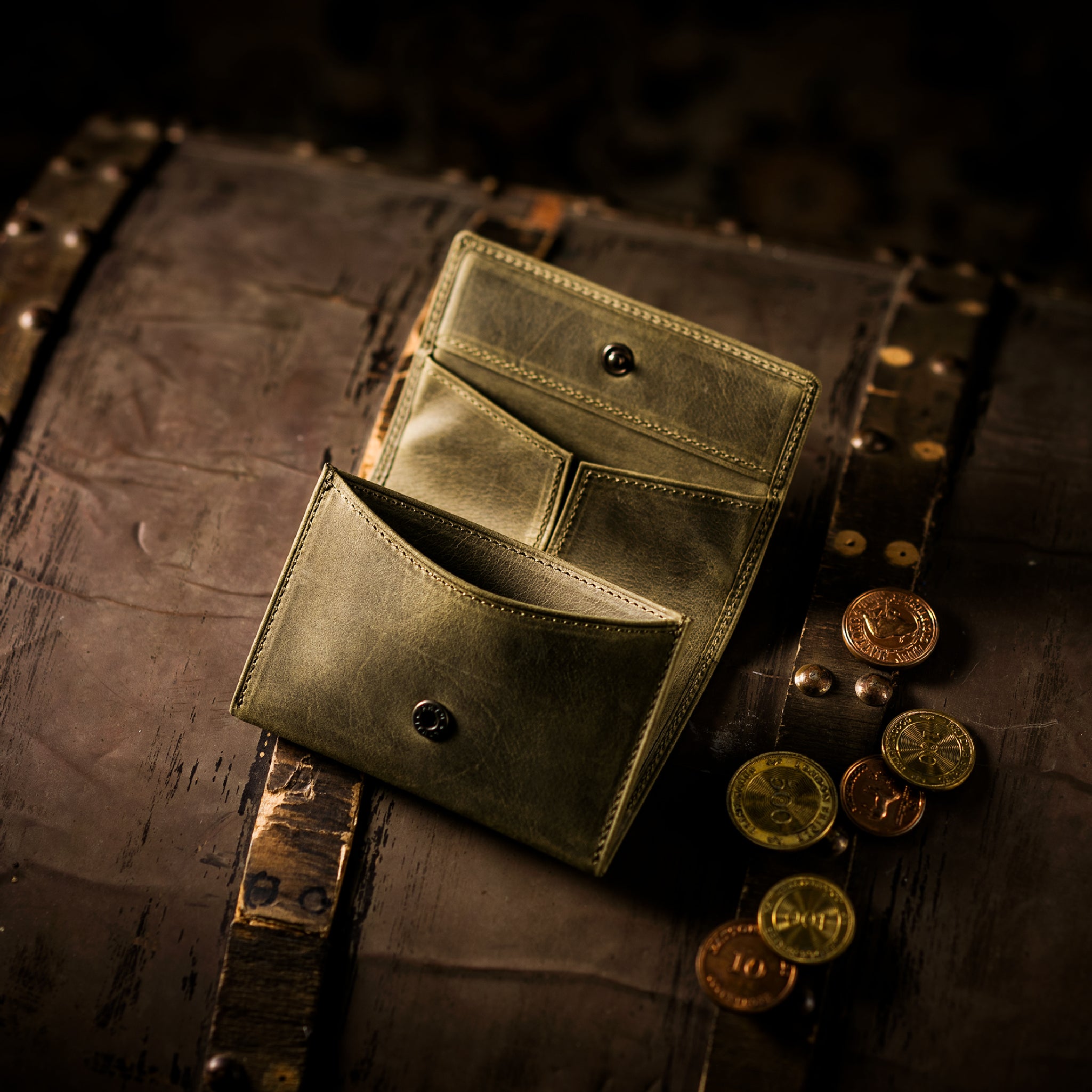 #Color_ワイルドオアシス