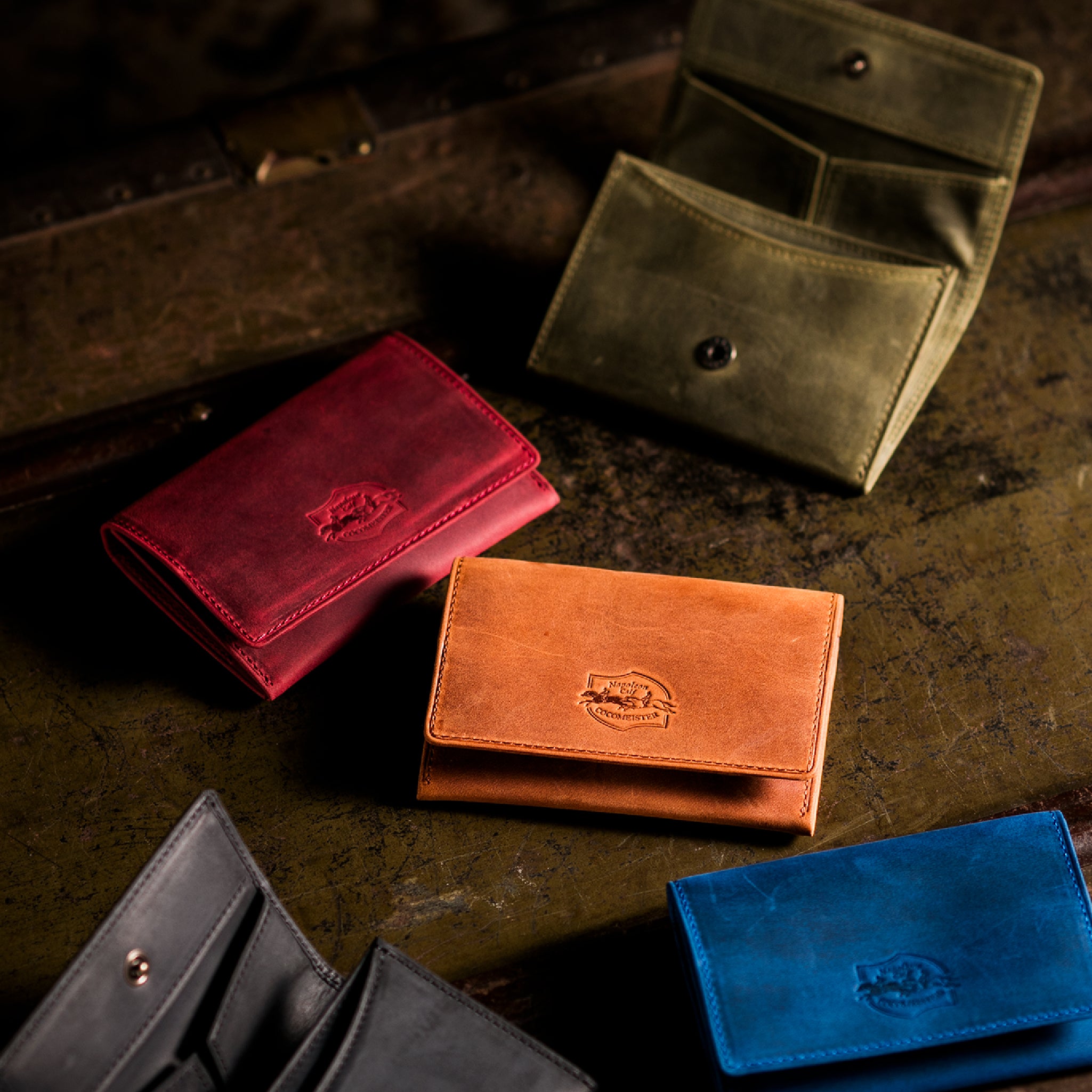 #Color_ワイルドオアシス