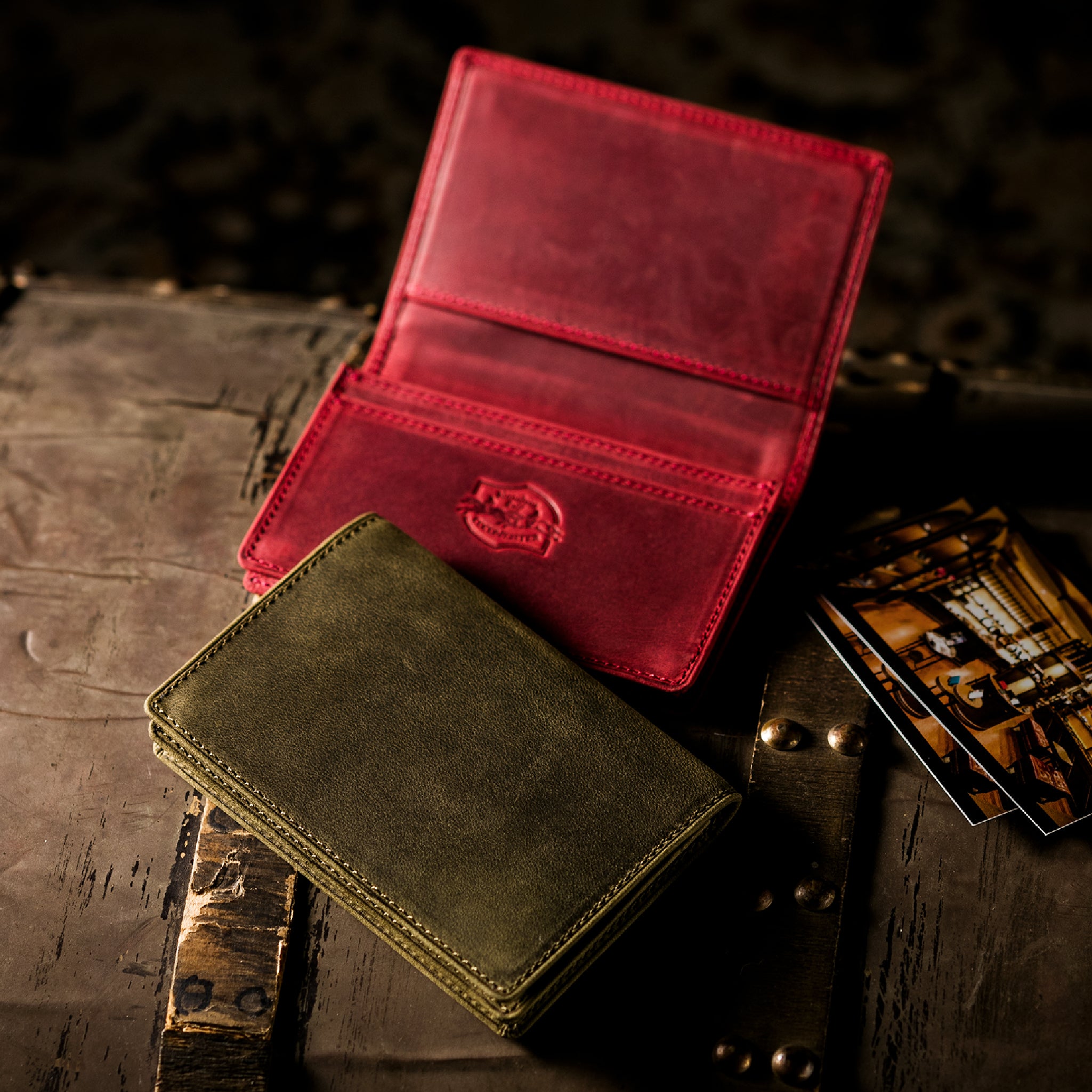 #カラー_ワイルドオアシス