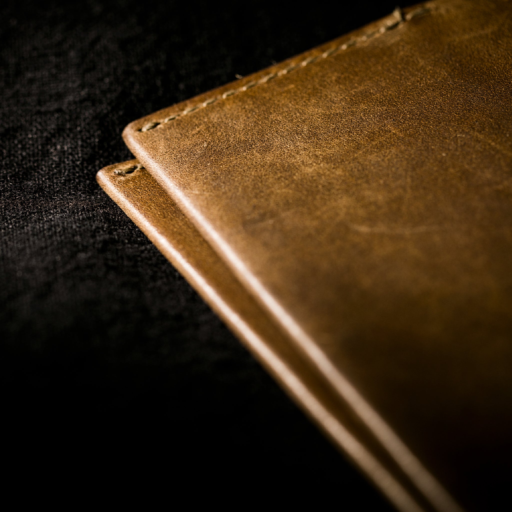 #Color_ワイルドオアシス