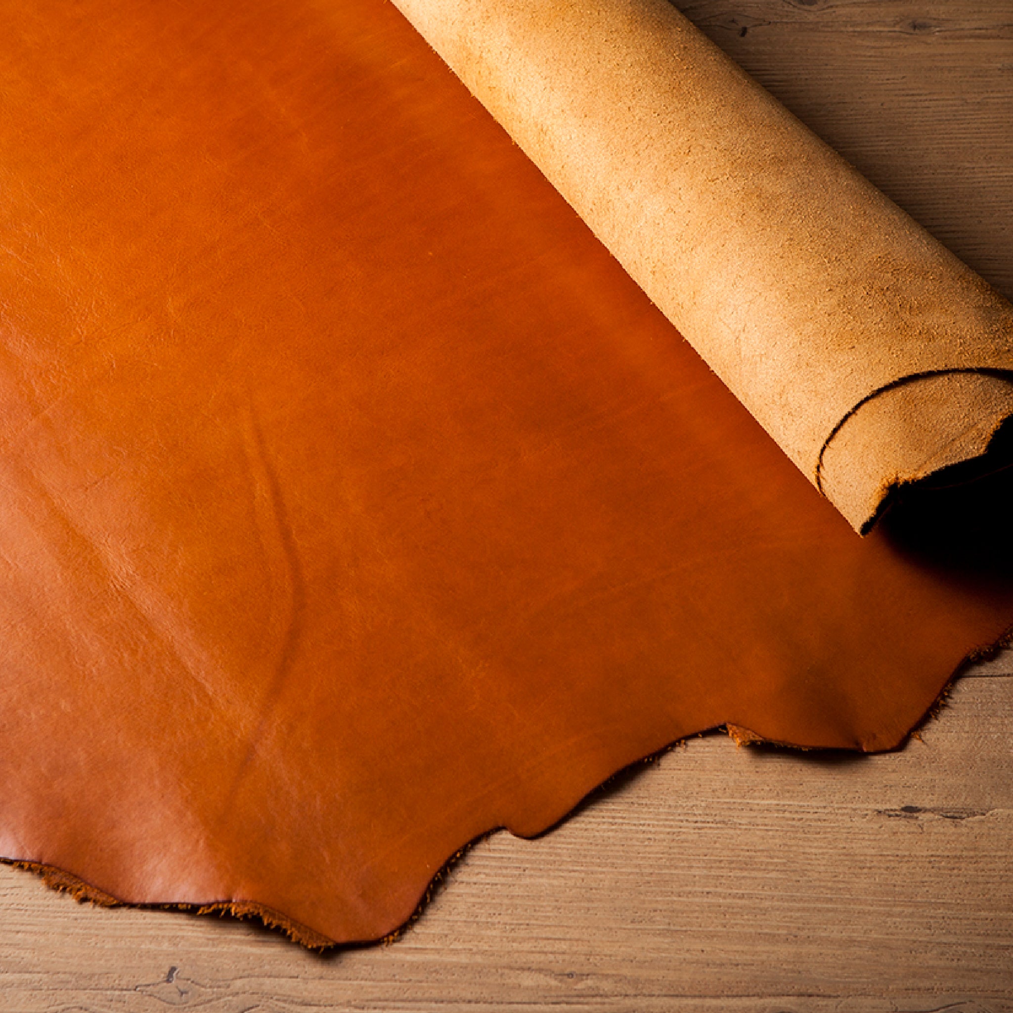 マットーネ アルヴィート