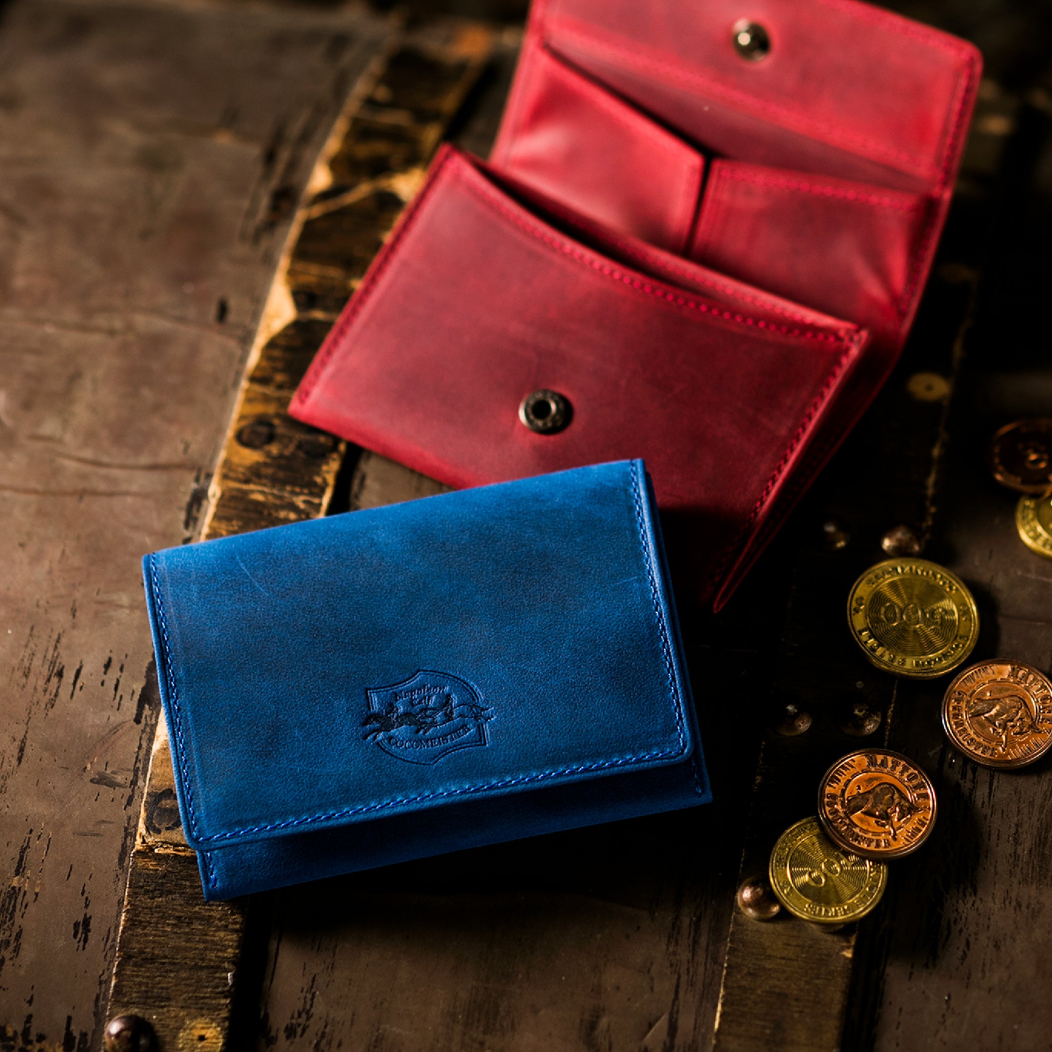 #Color_ワイルドドリーム