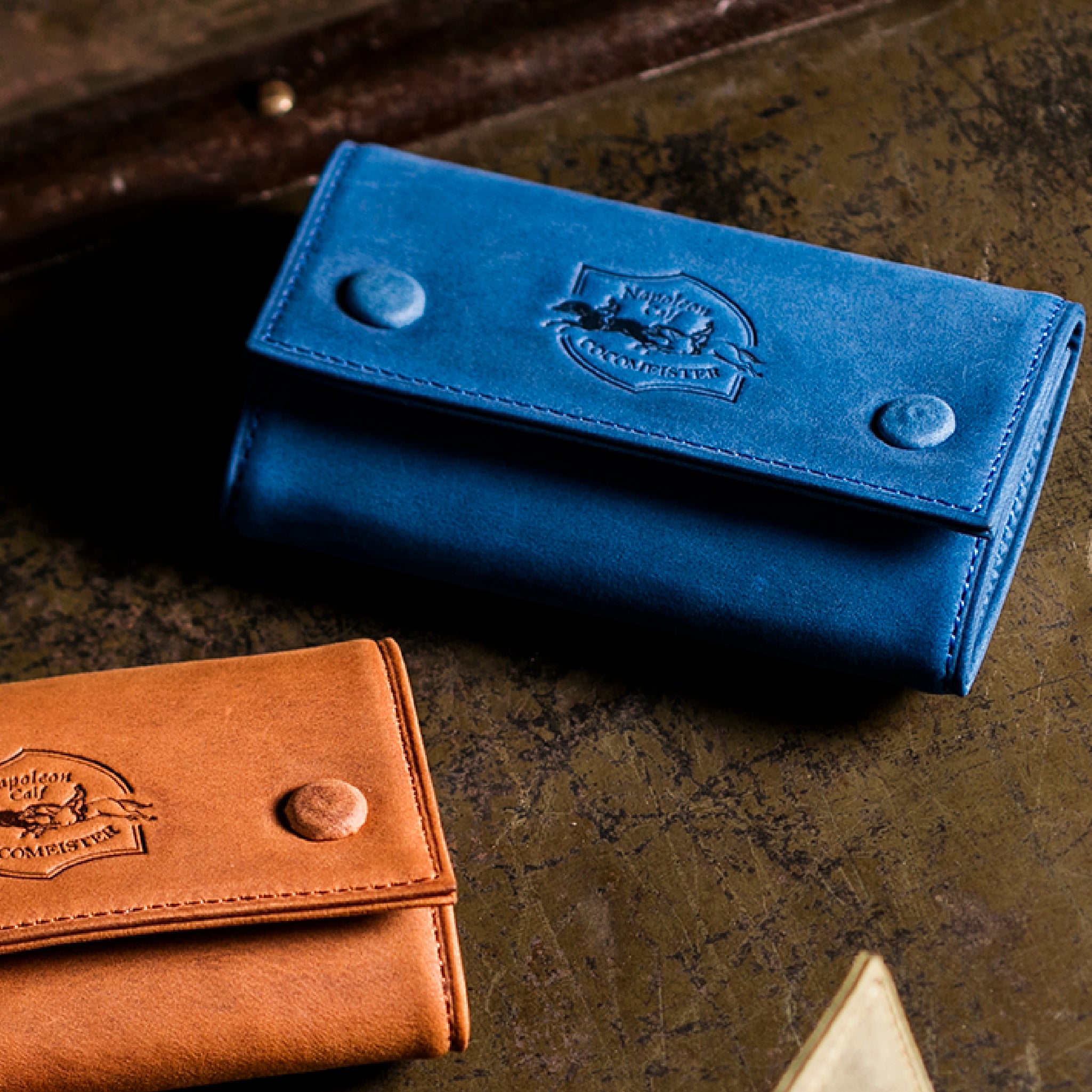 #Color_ワイルドドリーム