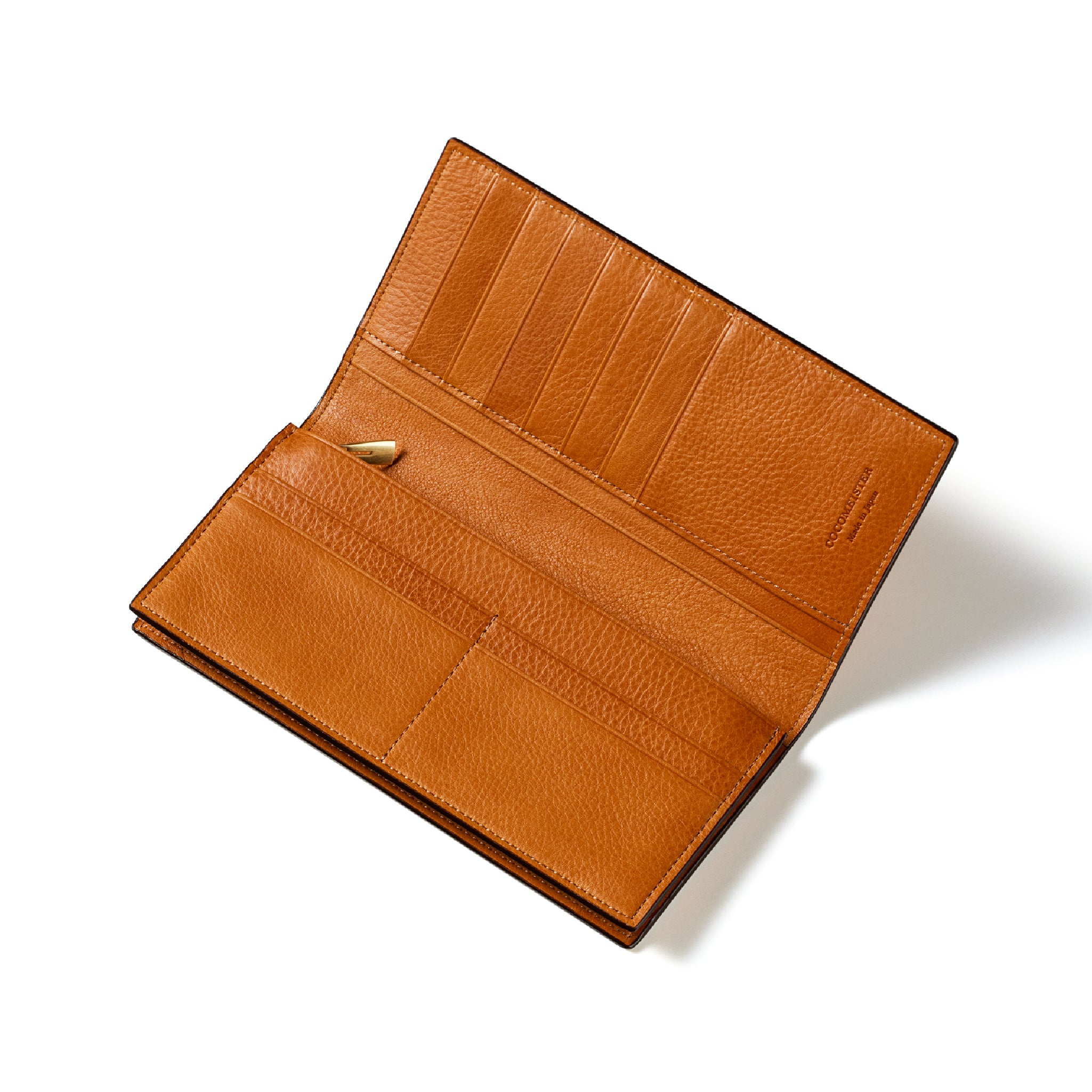 #カラー_シダー