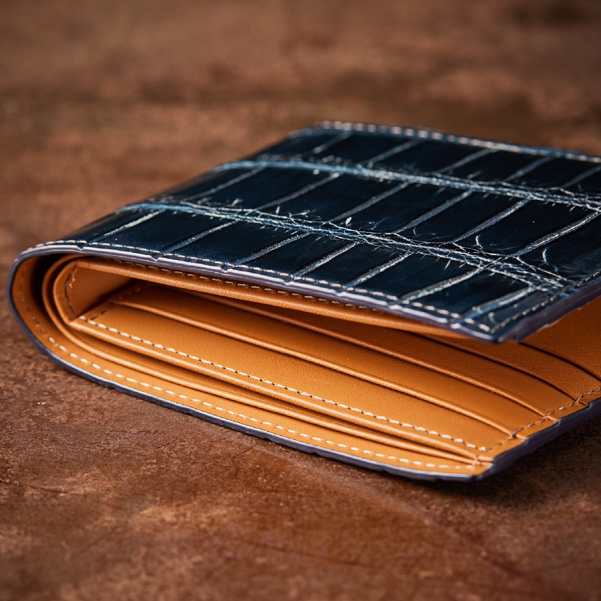 クロコダイル ポリメラス