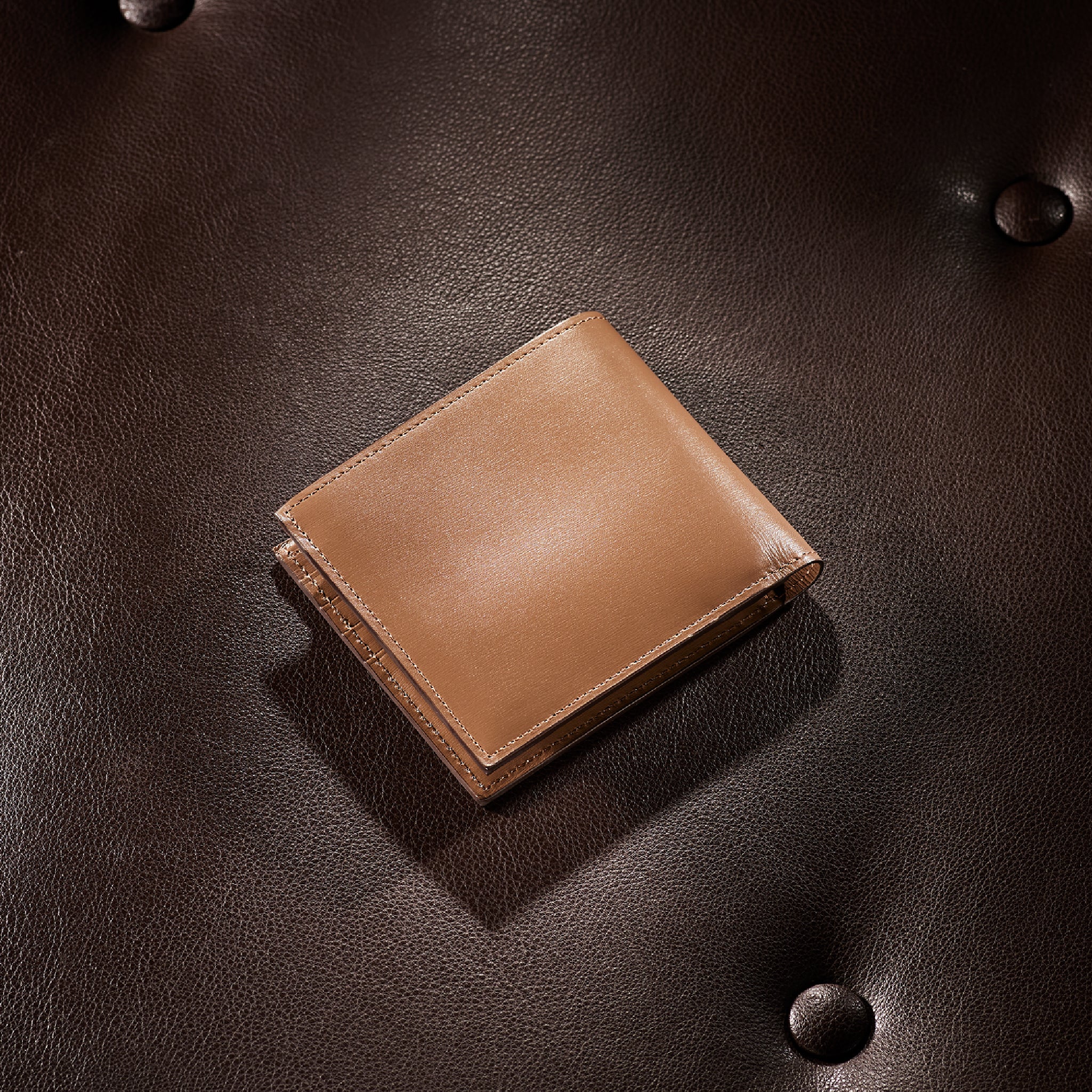 #カラー_シャルトープ