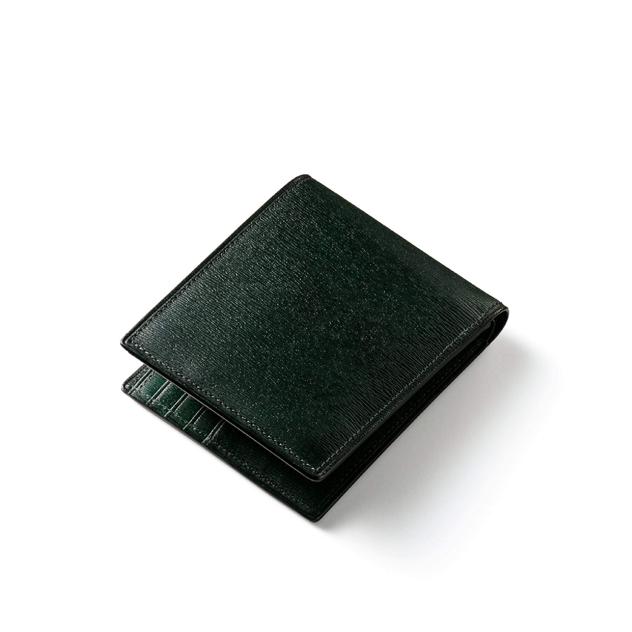 #カラー_レイジングオーシャン