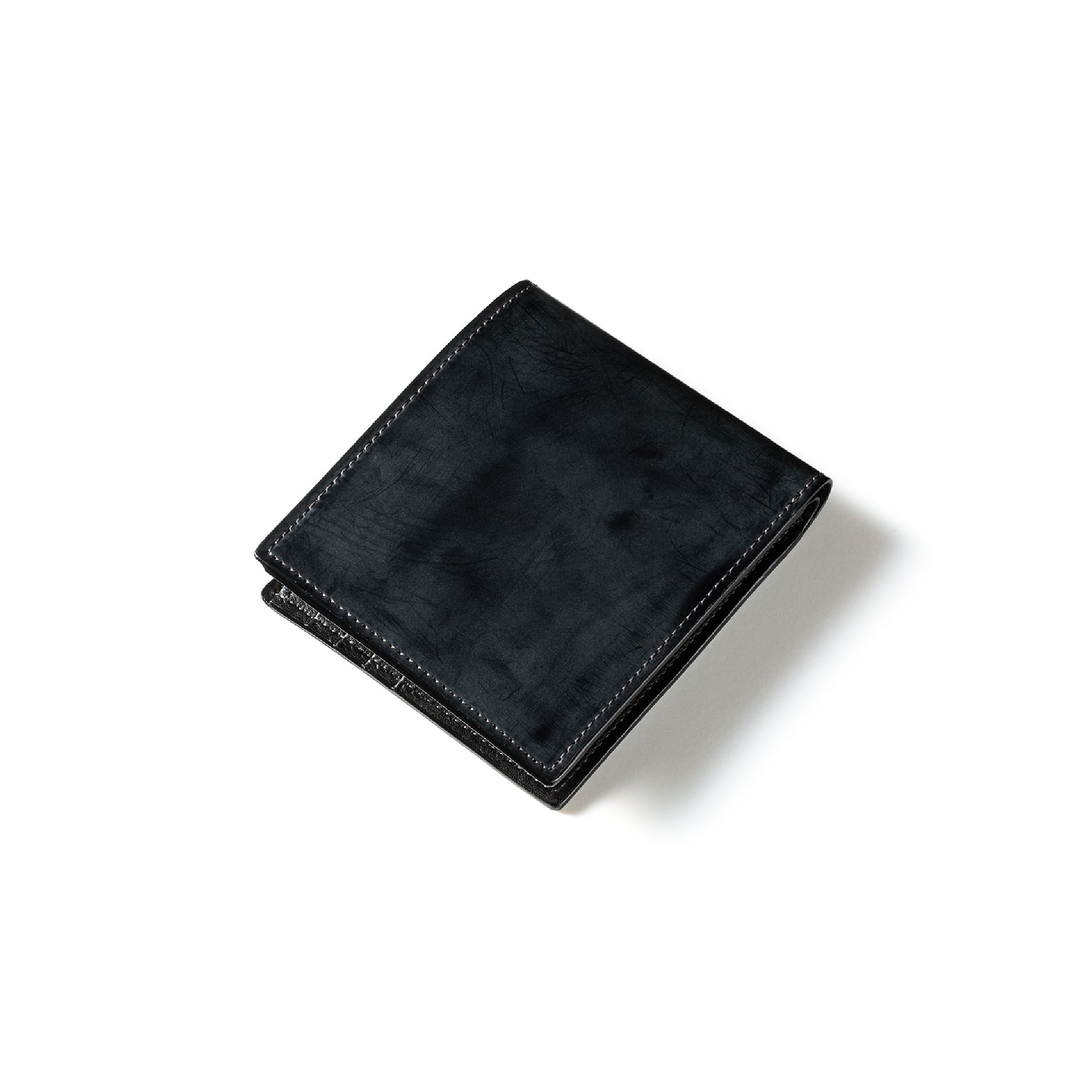 #カラー_ダービーブラック