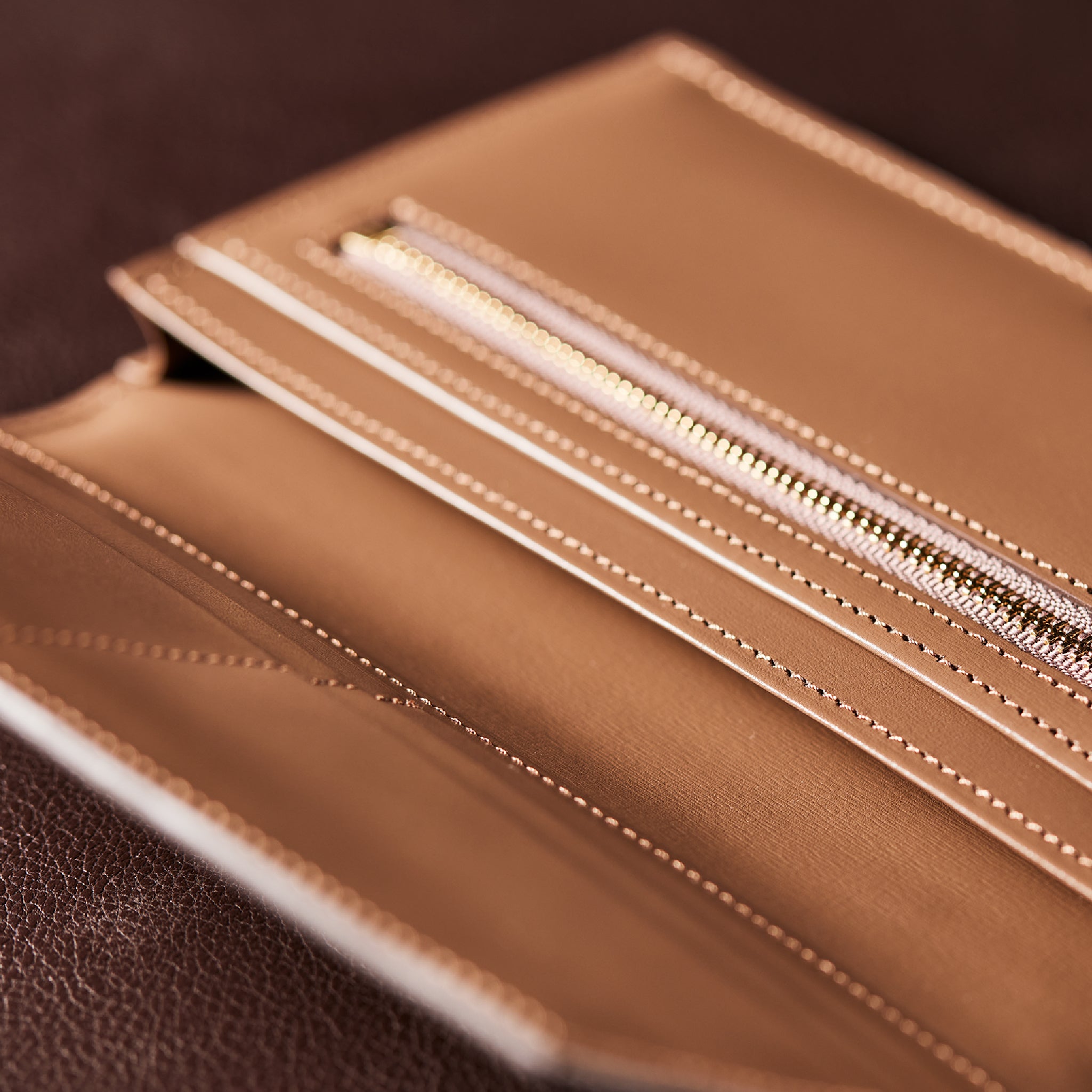 #Color_シャルトープ