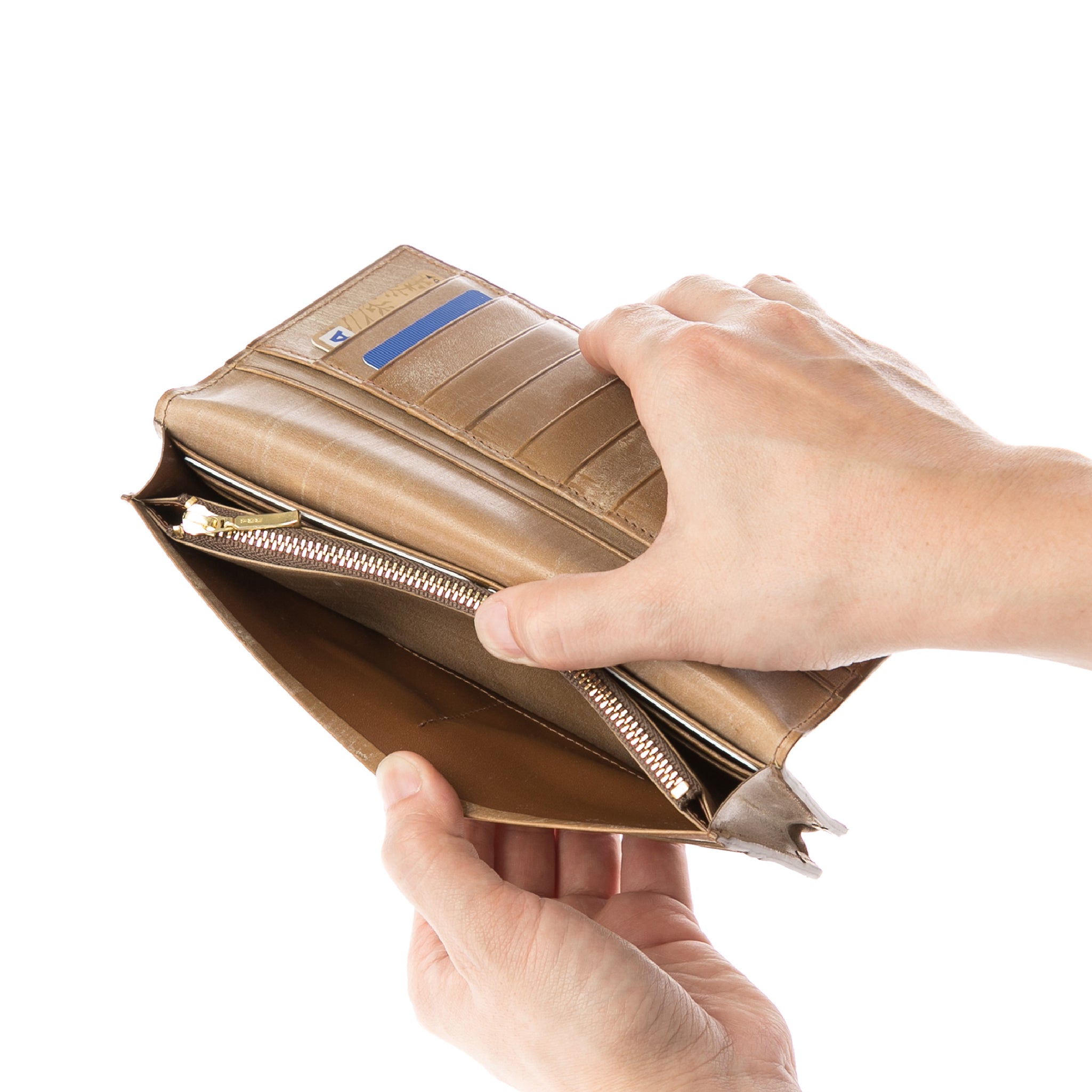 #カラー_イングリッシュオーク