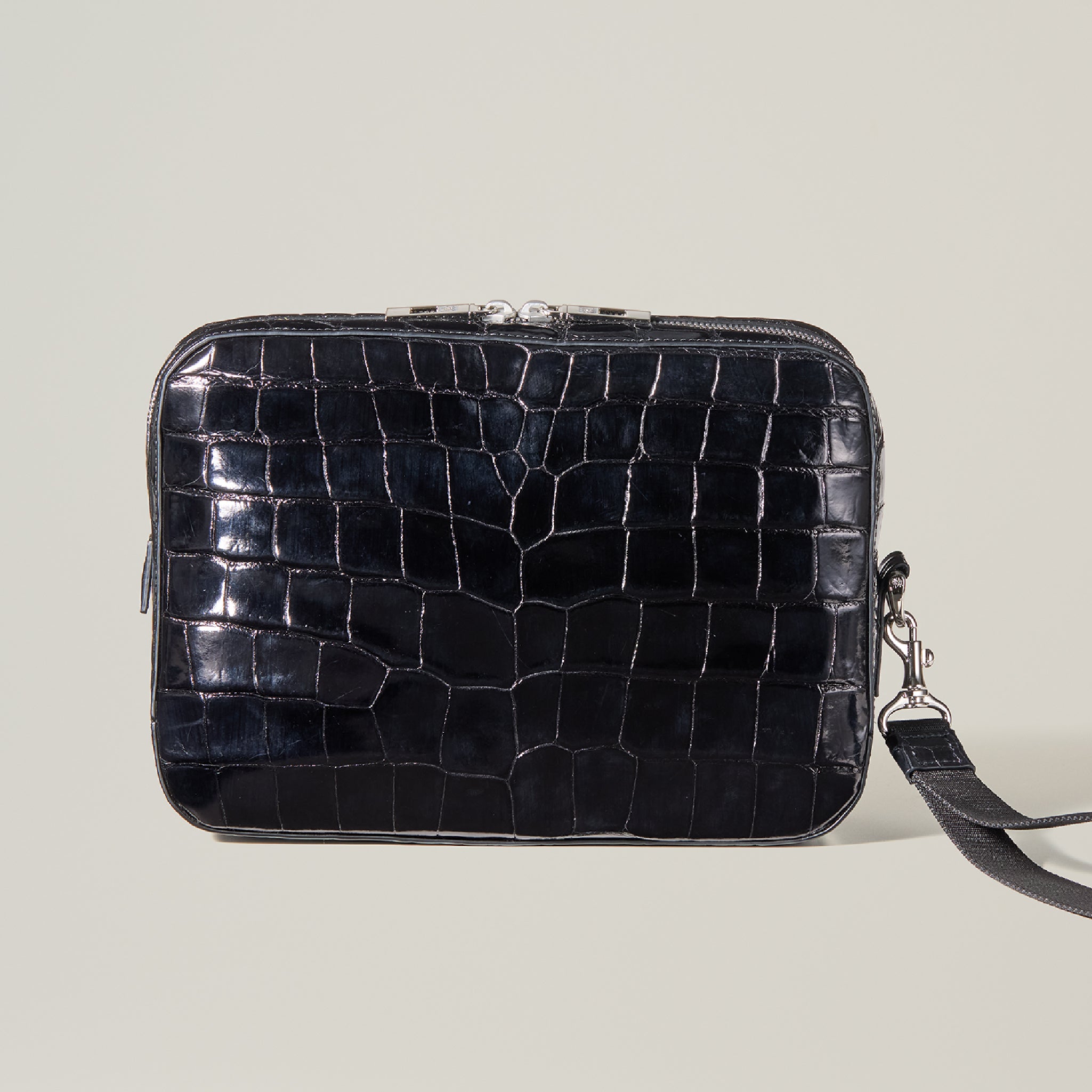 #カラー_ベルーガ