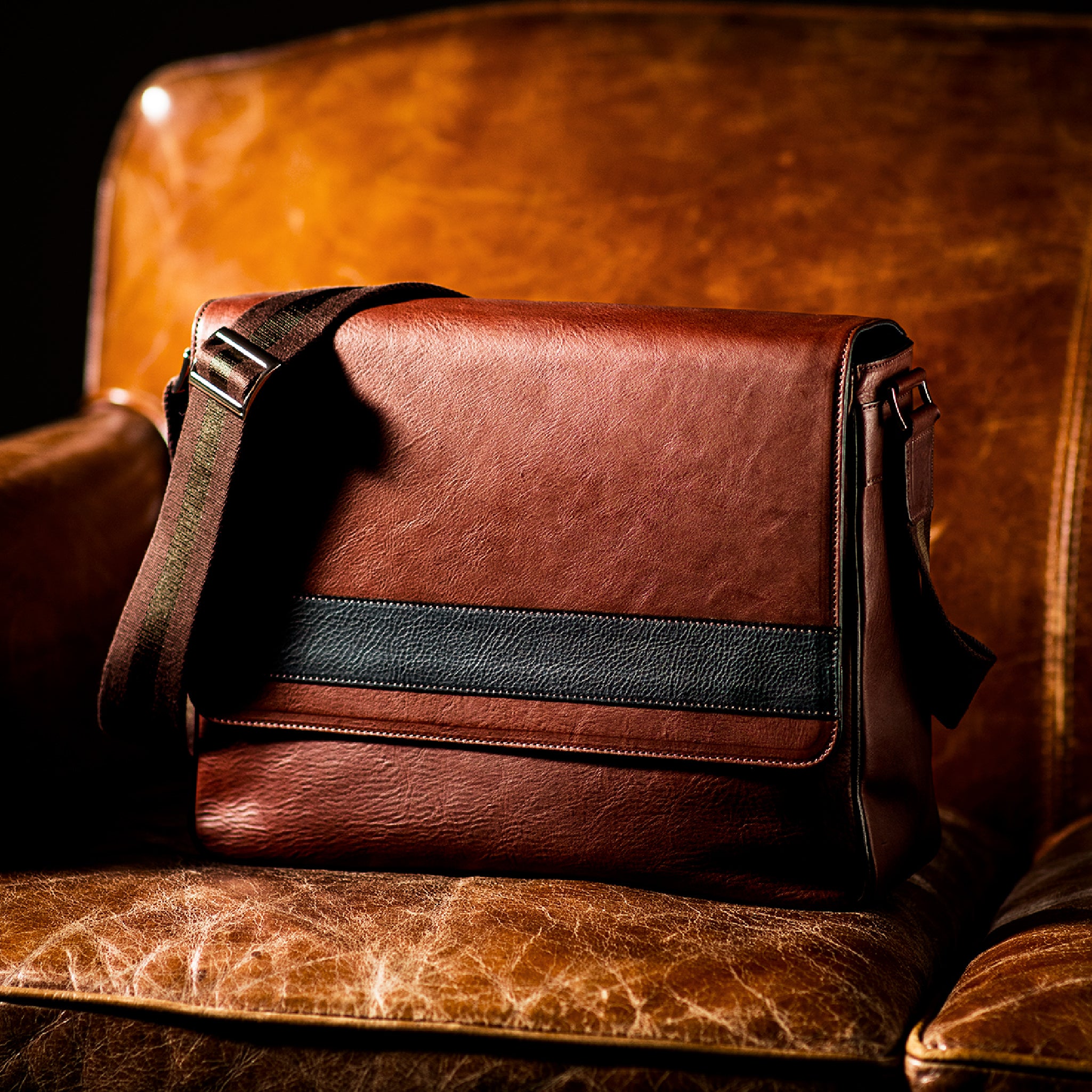 #カラー_ガルテリオ