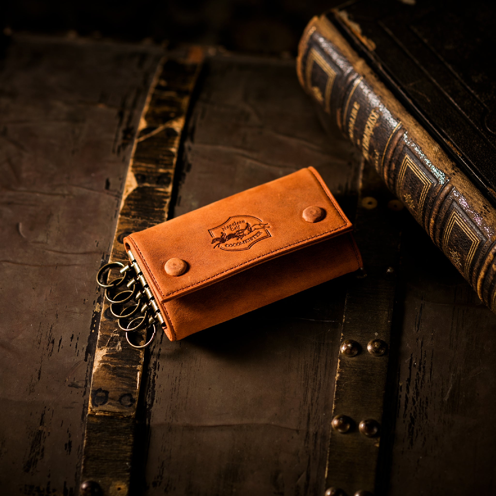 #Color_ワイルドブラウン