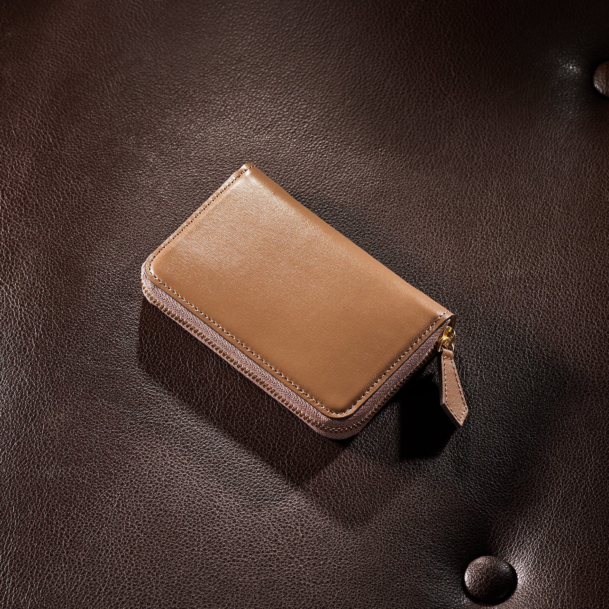 #カラー_シャルトープ