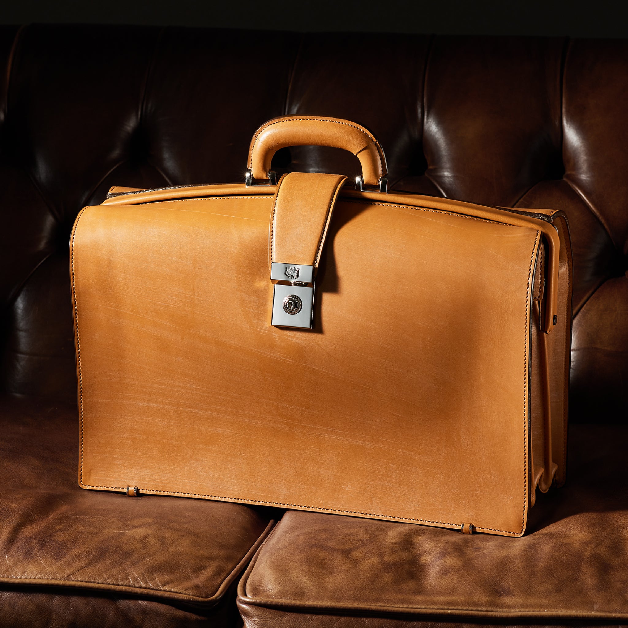 #カラー_イングリッシュオーク