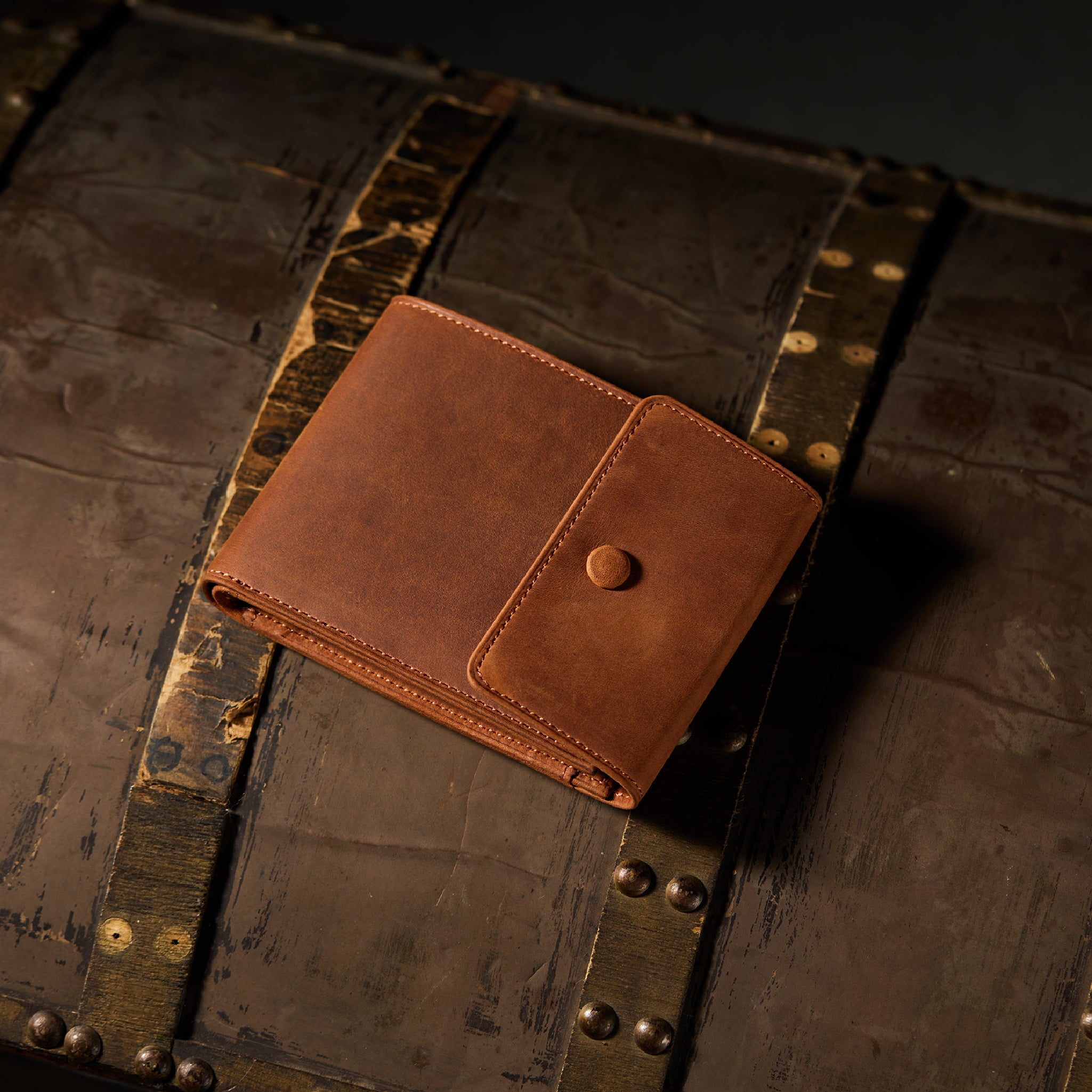 #Color_ワイルドブラウン