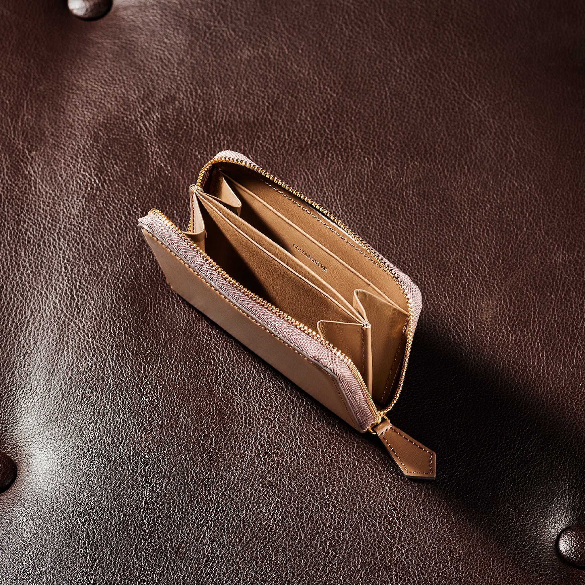 #カラー_シャルトープ