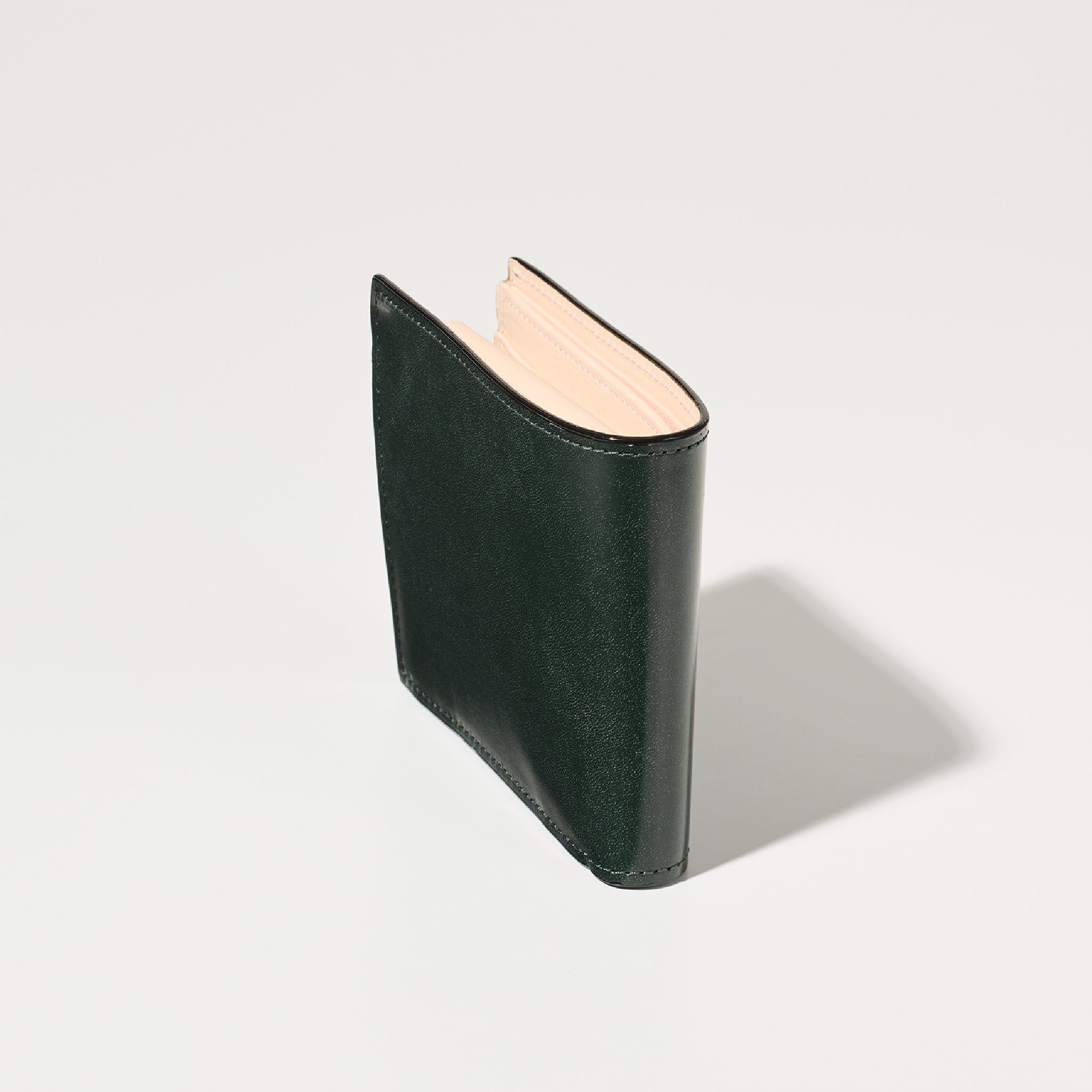 #カラー_モスグリーン