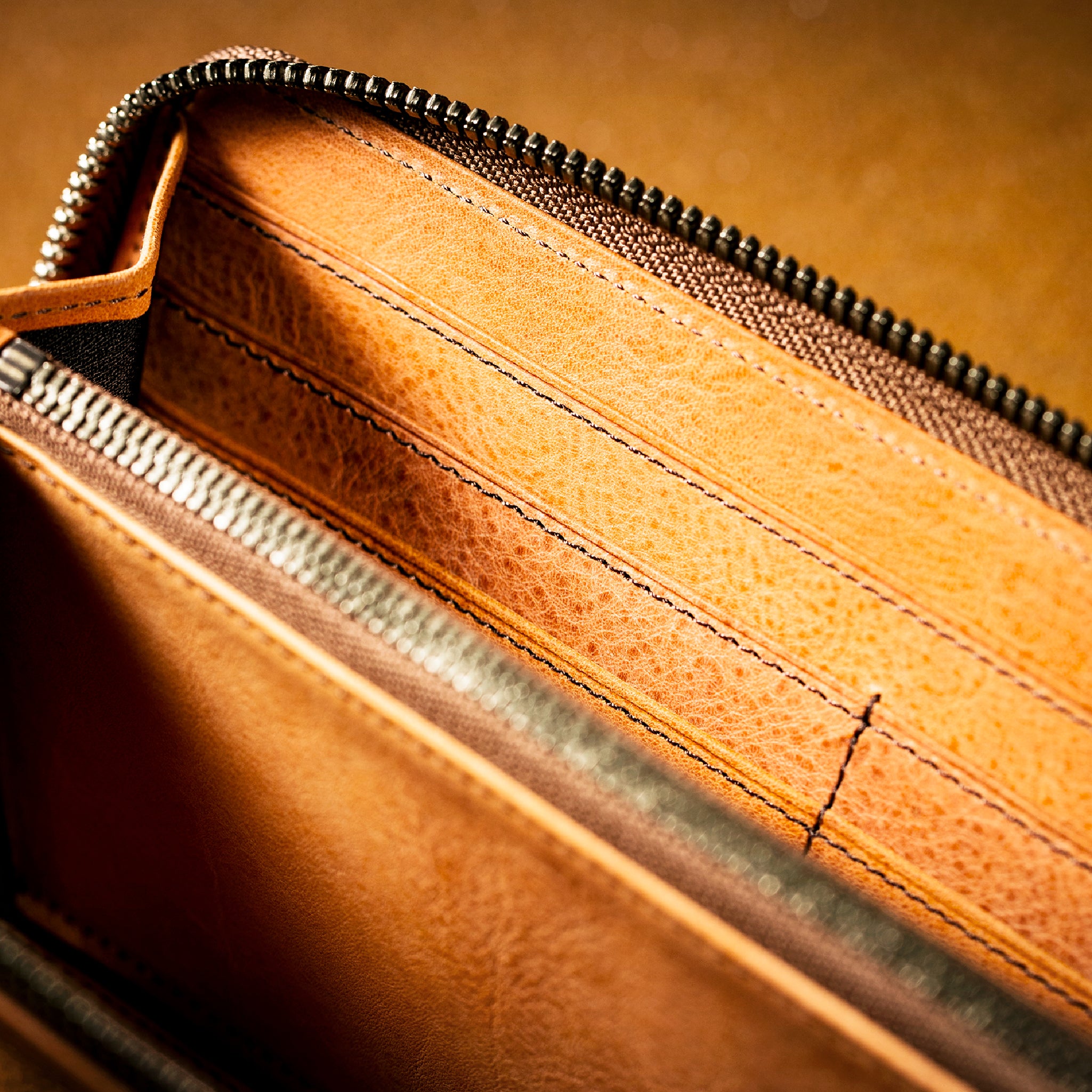 #カラー_サハラ