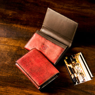 ベテルギウス ハッブルカードケース