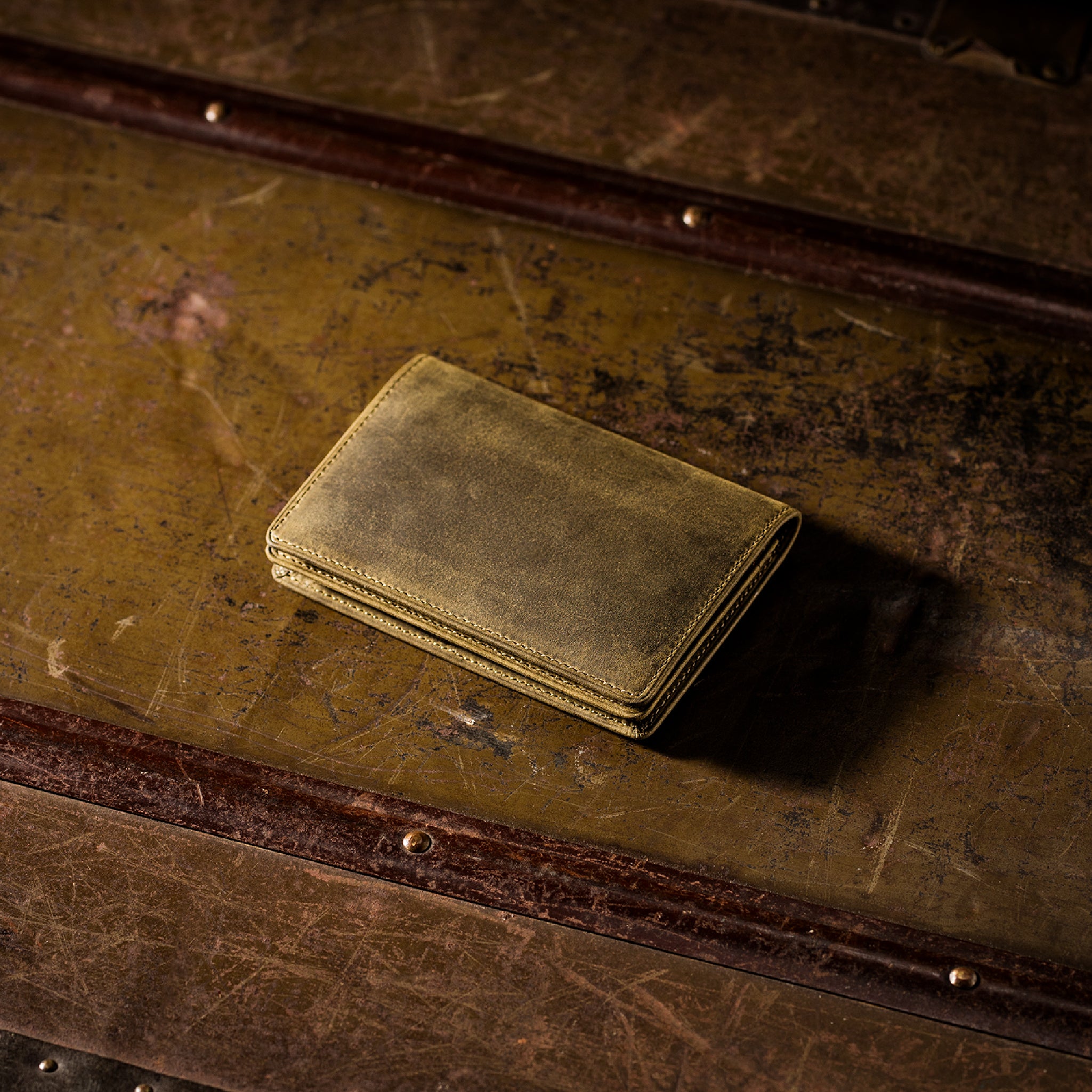 #カラー_ワイルドオアシス