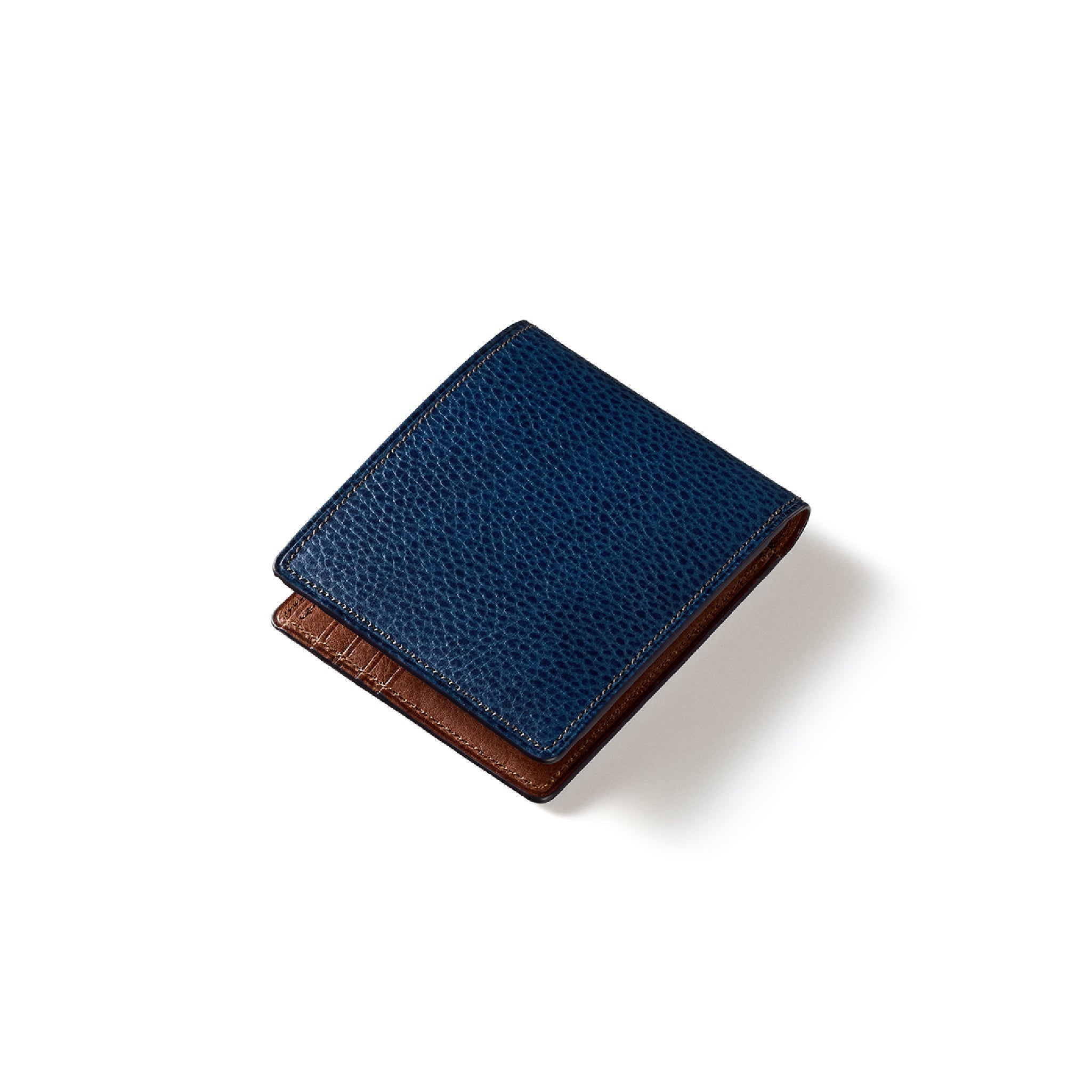 #カラー_オルトレマーレ