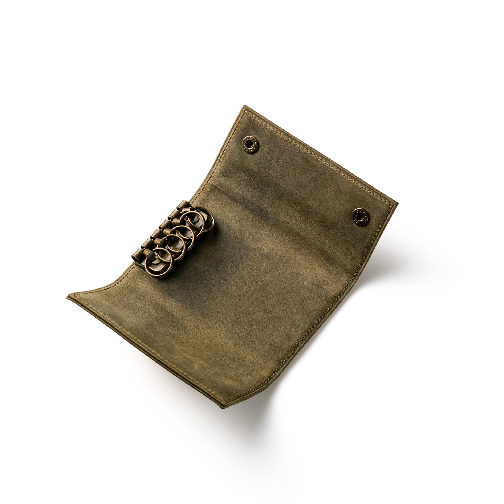 #Color_ワイルドオアシス