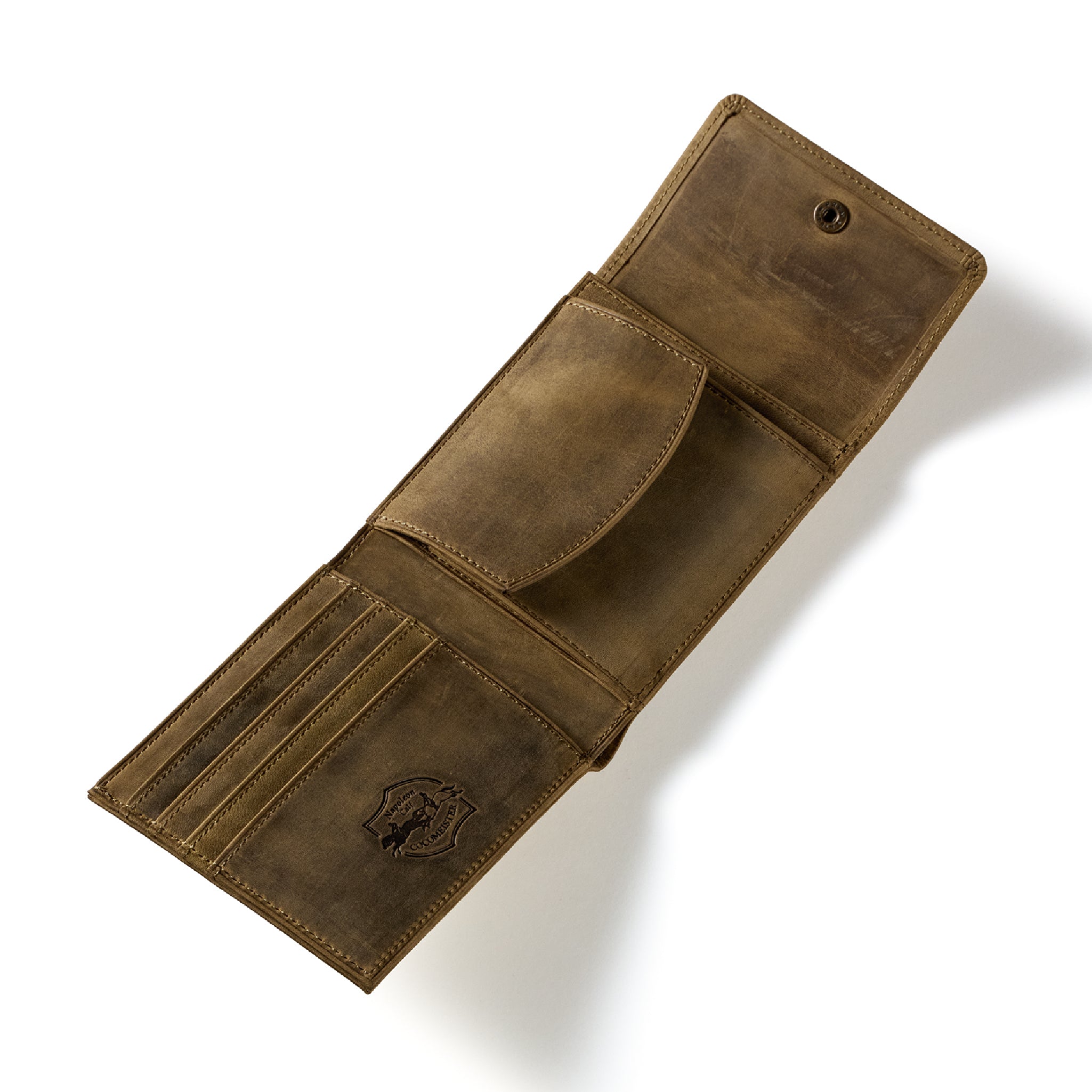 #Color_ワイルドオアシス