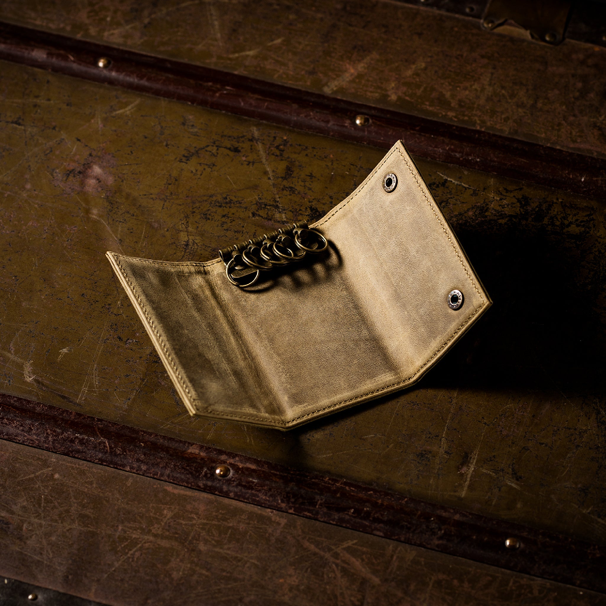 #Color_ワイルドオアシス