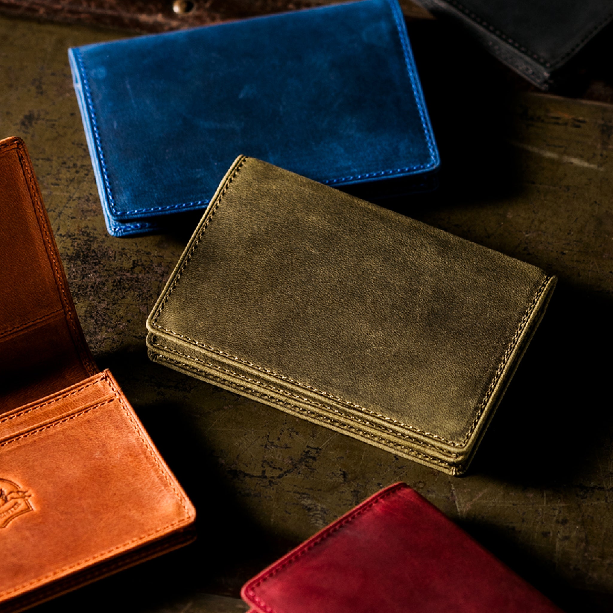 #カラー_ワイルドオアシス