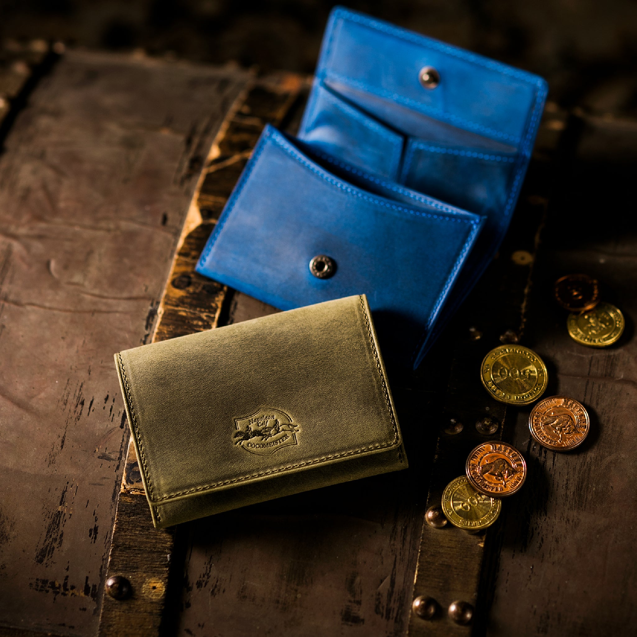 #Color_ワイルドオアシス