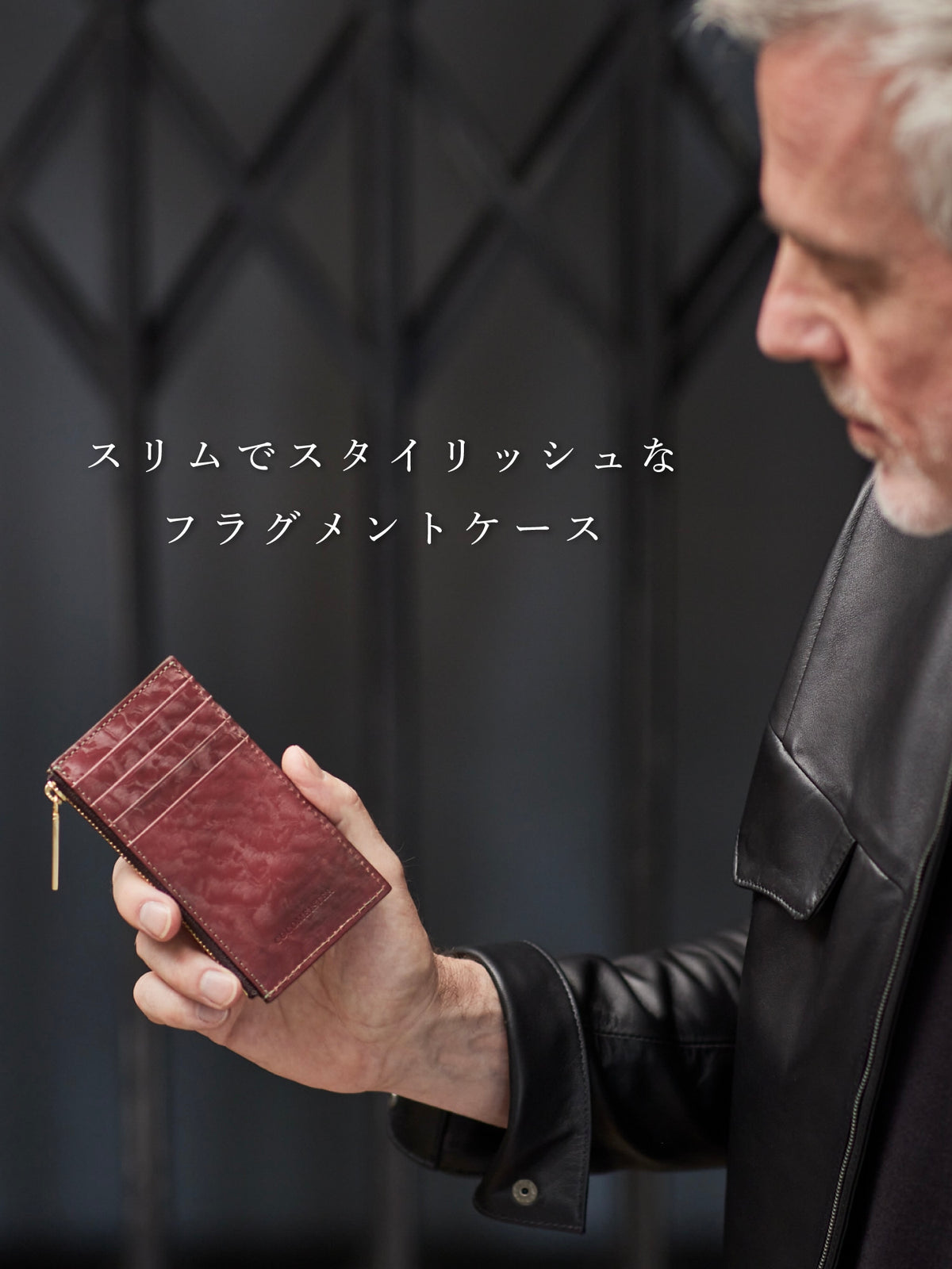 ジオマグネティズム コインカードケース section 06
