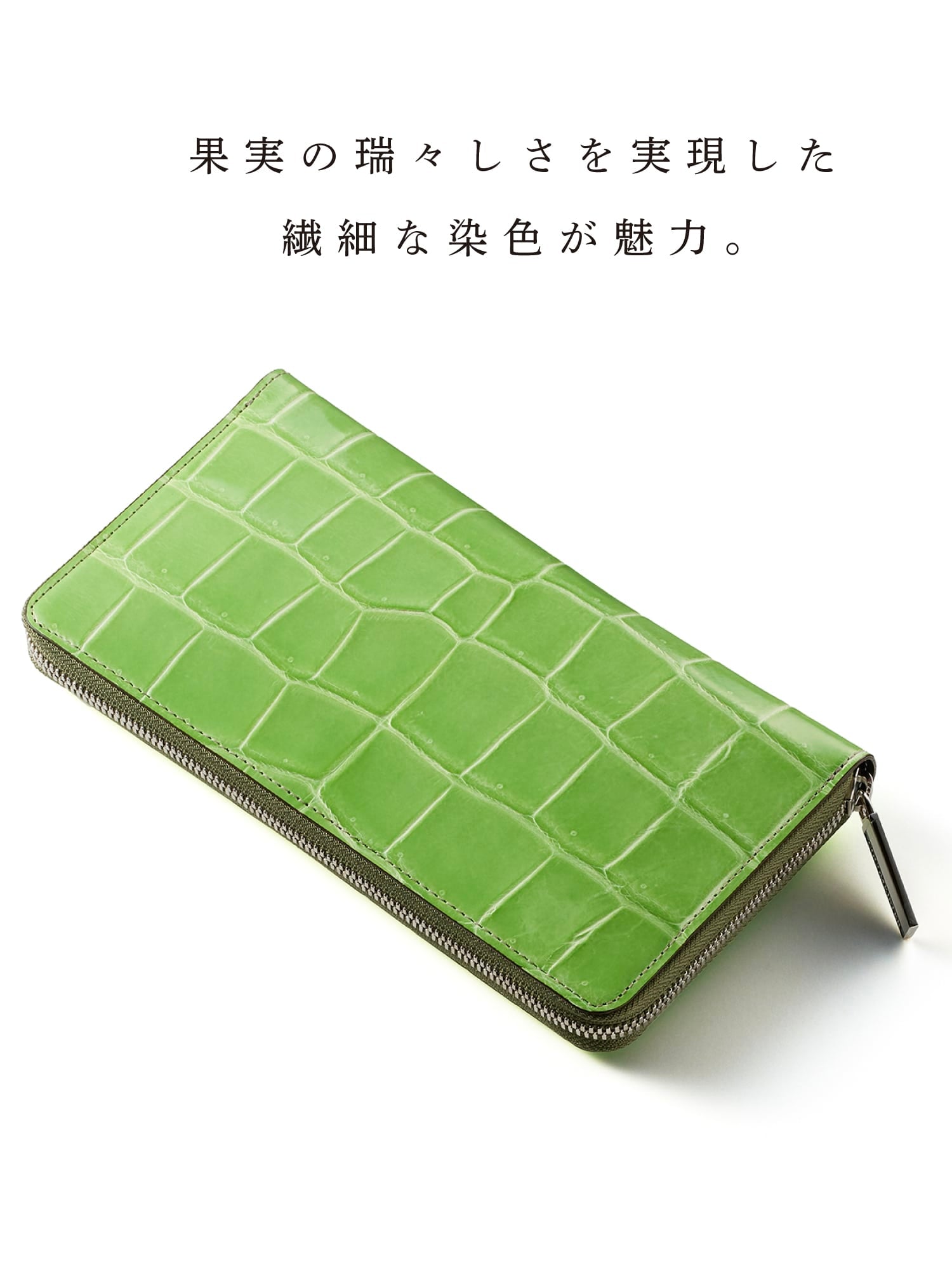 クロコダイル パーシモン