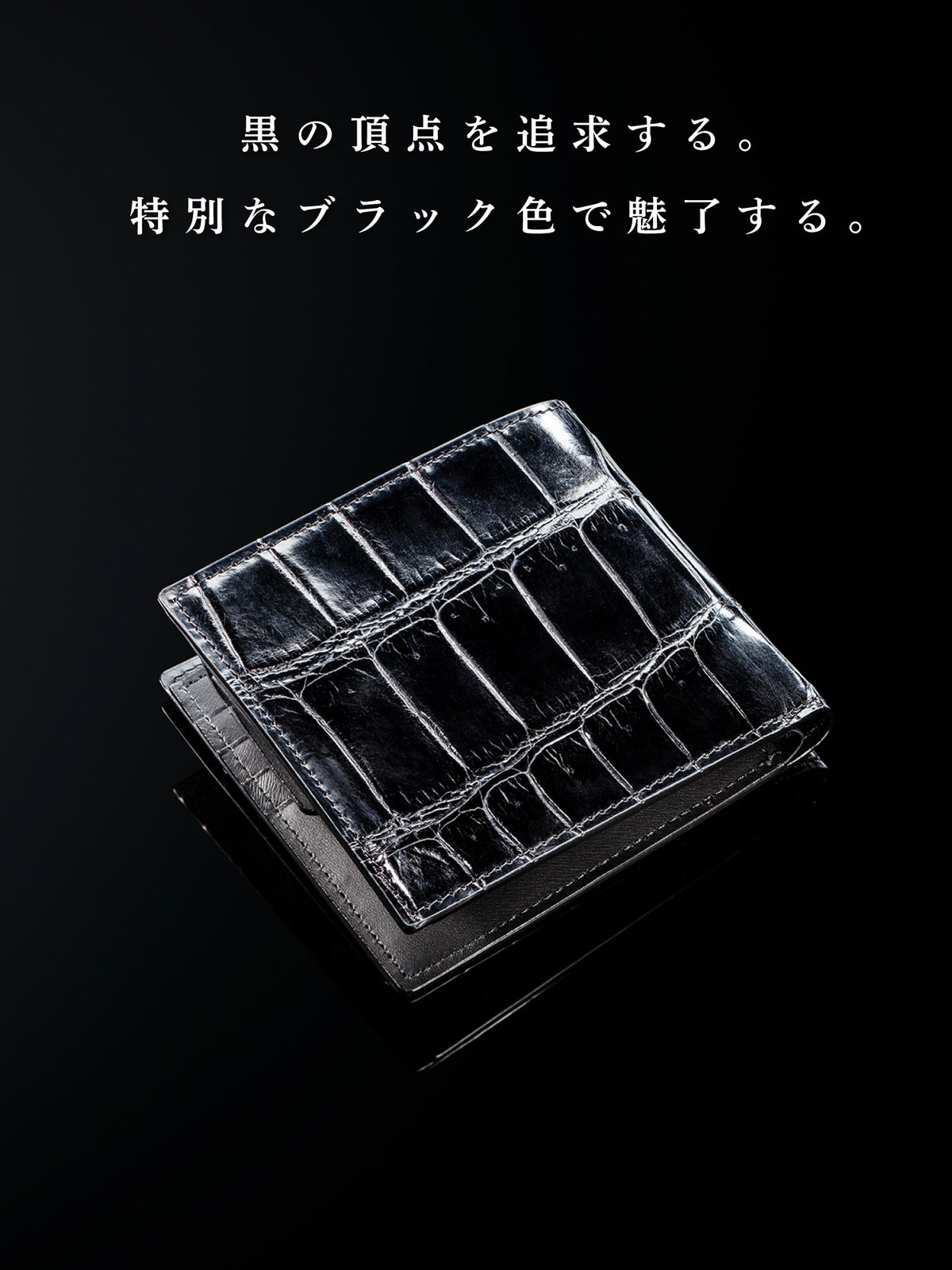 クロコダイル バトルシップ 06