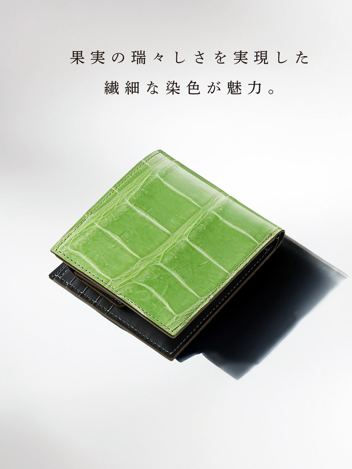 クロコダイル バトルシップ 07