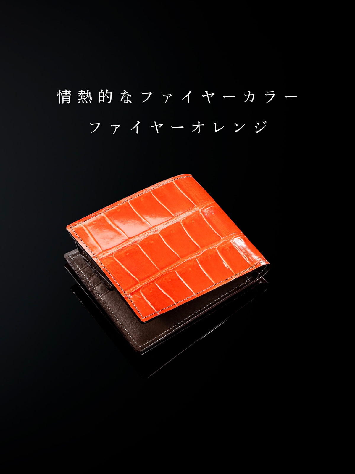 クロコダイル バトルシップ 08