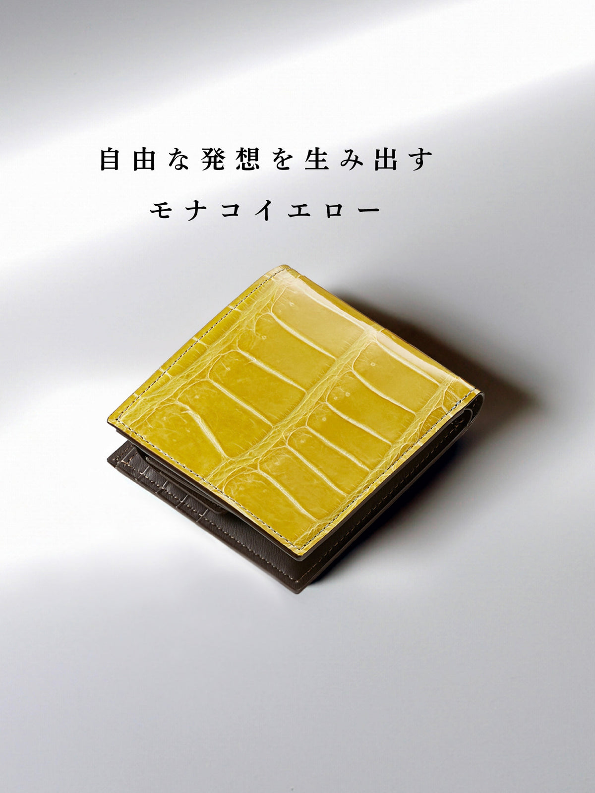 クロコダイル バトルシップ 09