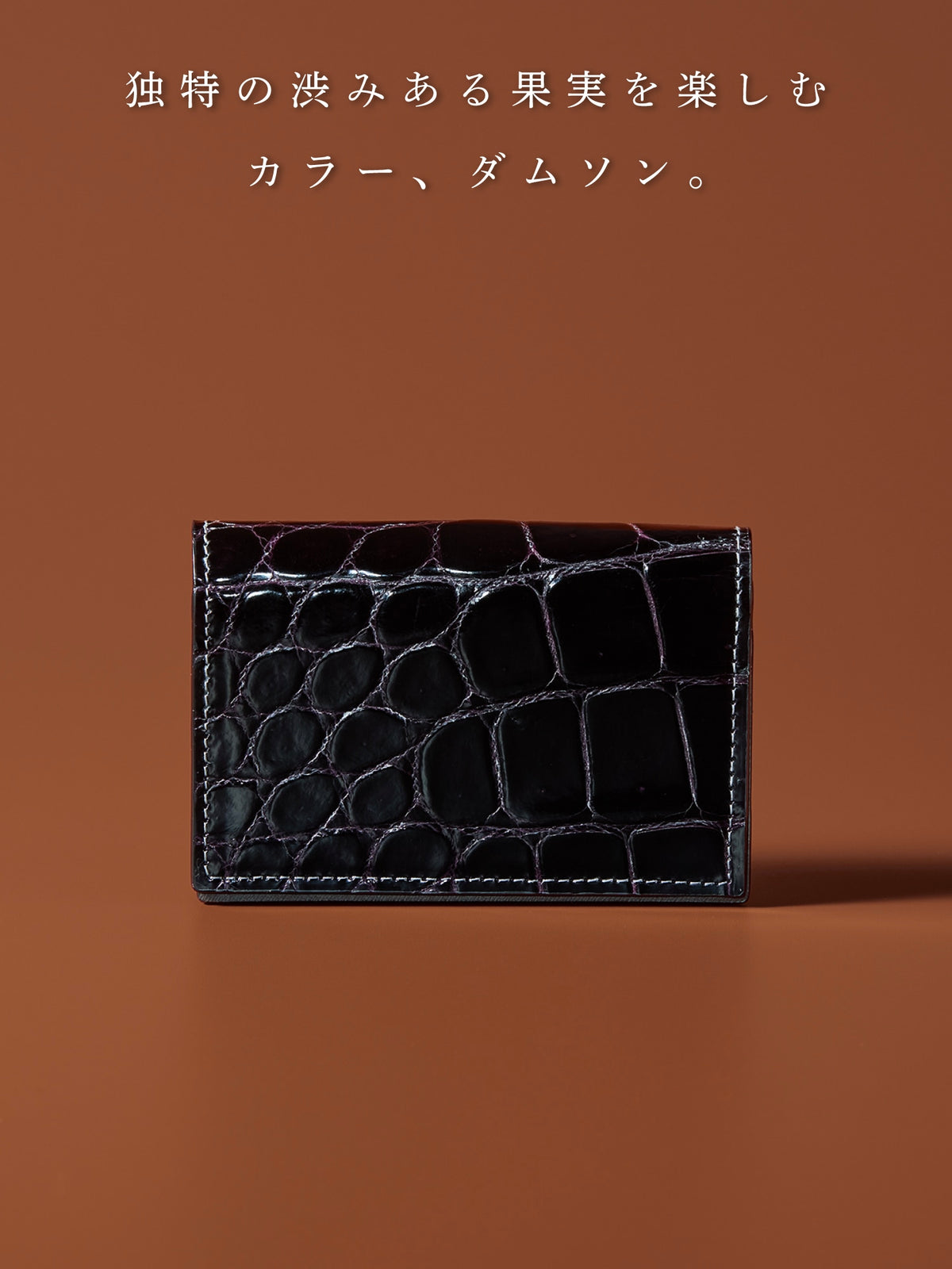 クロコダイル ファラリス 05