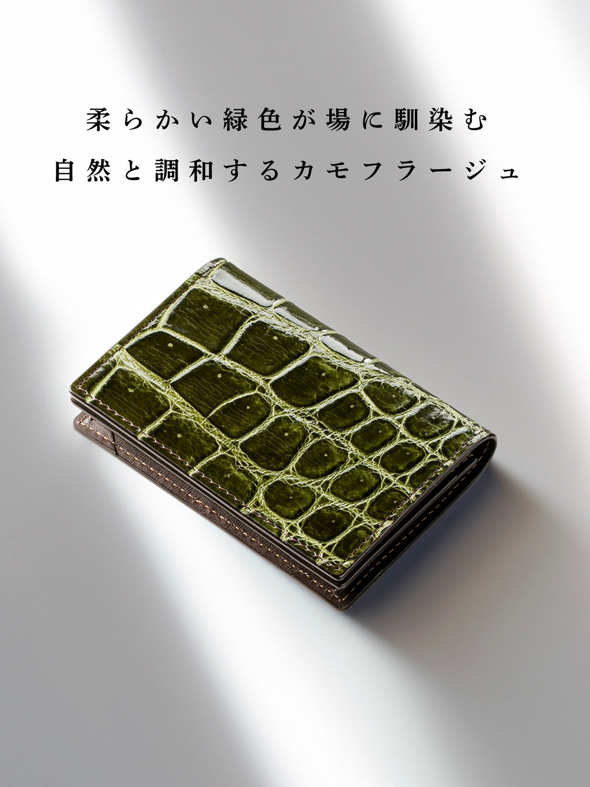 クロコダイル ファラリス 06