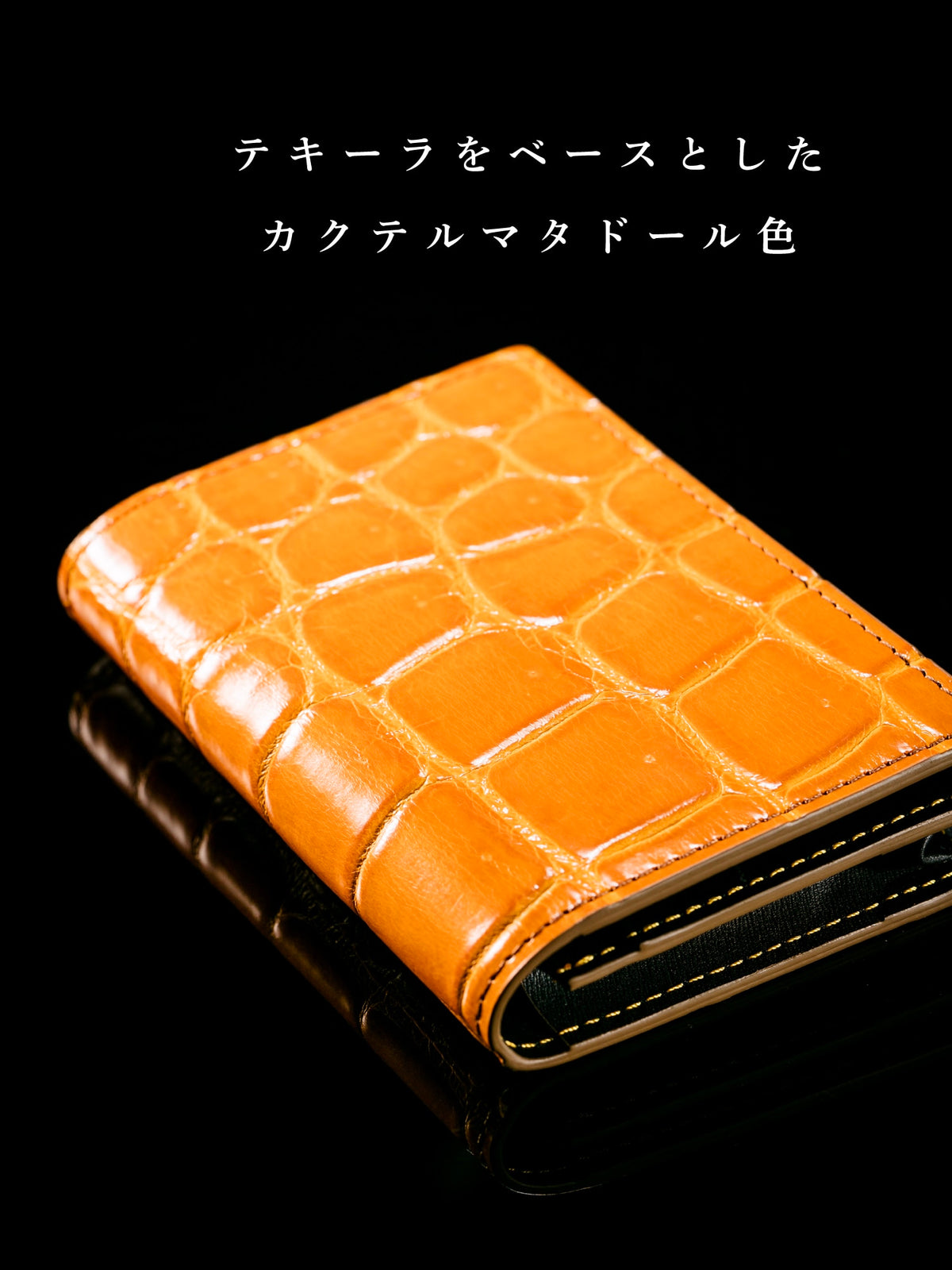 クロコダイル ファラリス 07