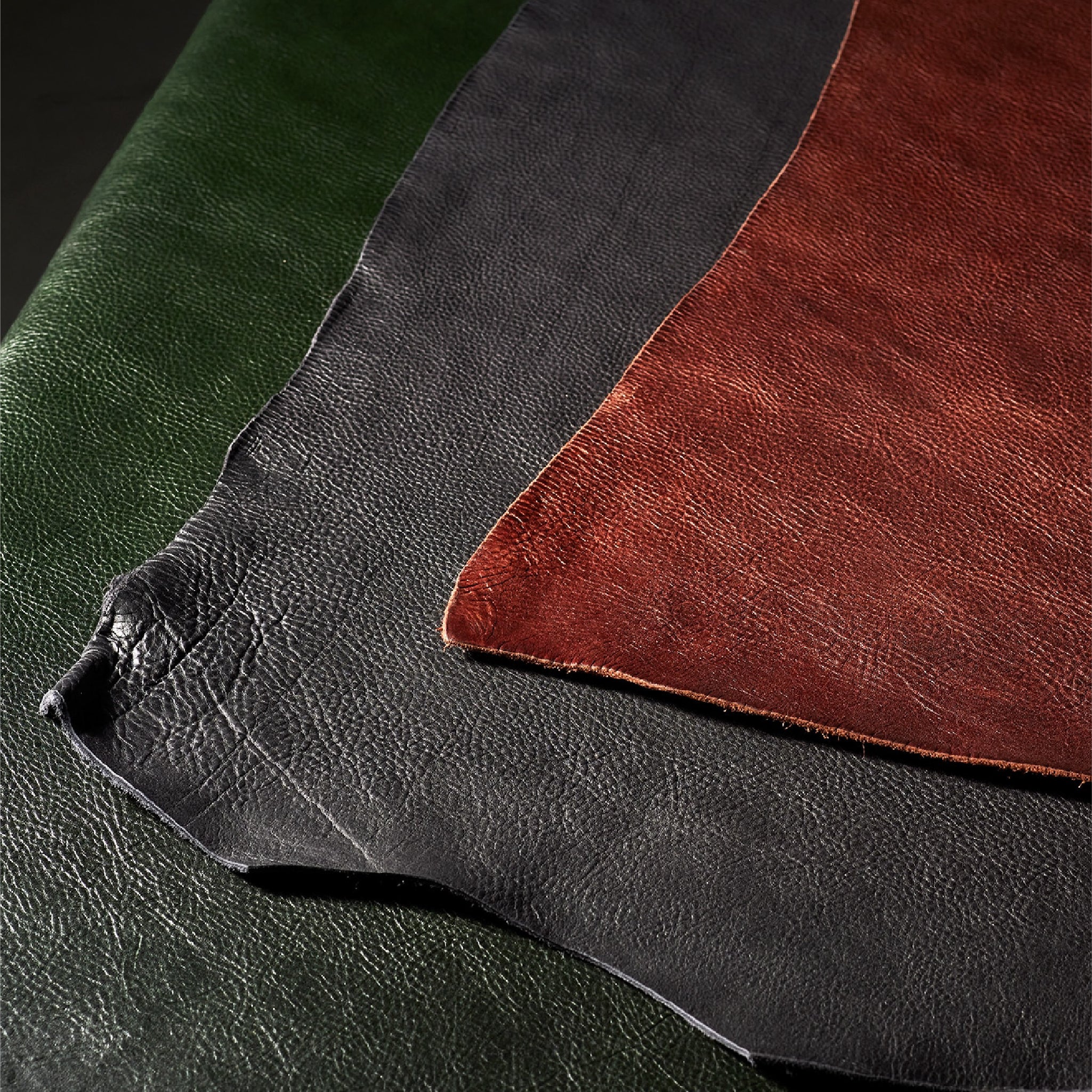 チェルシー ブルーバード