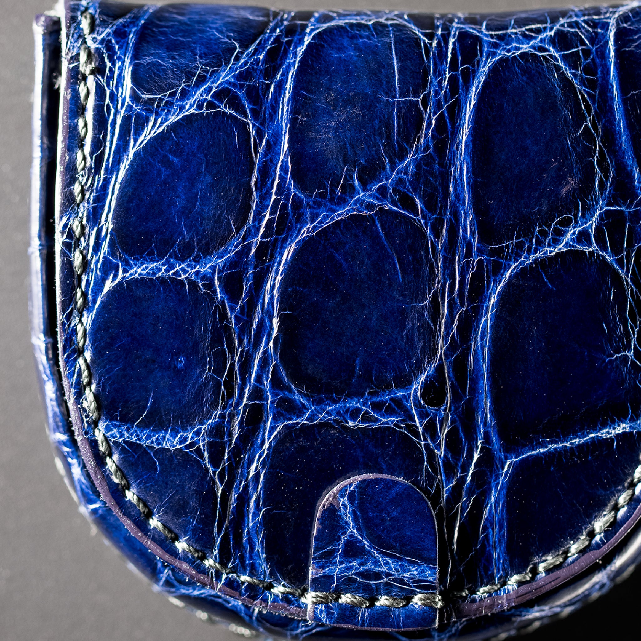 クロコダイル コリン