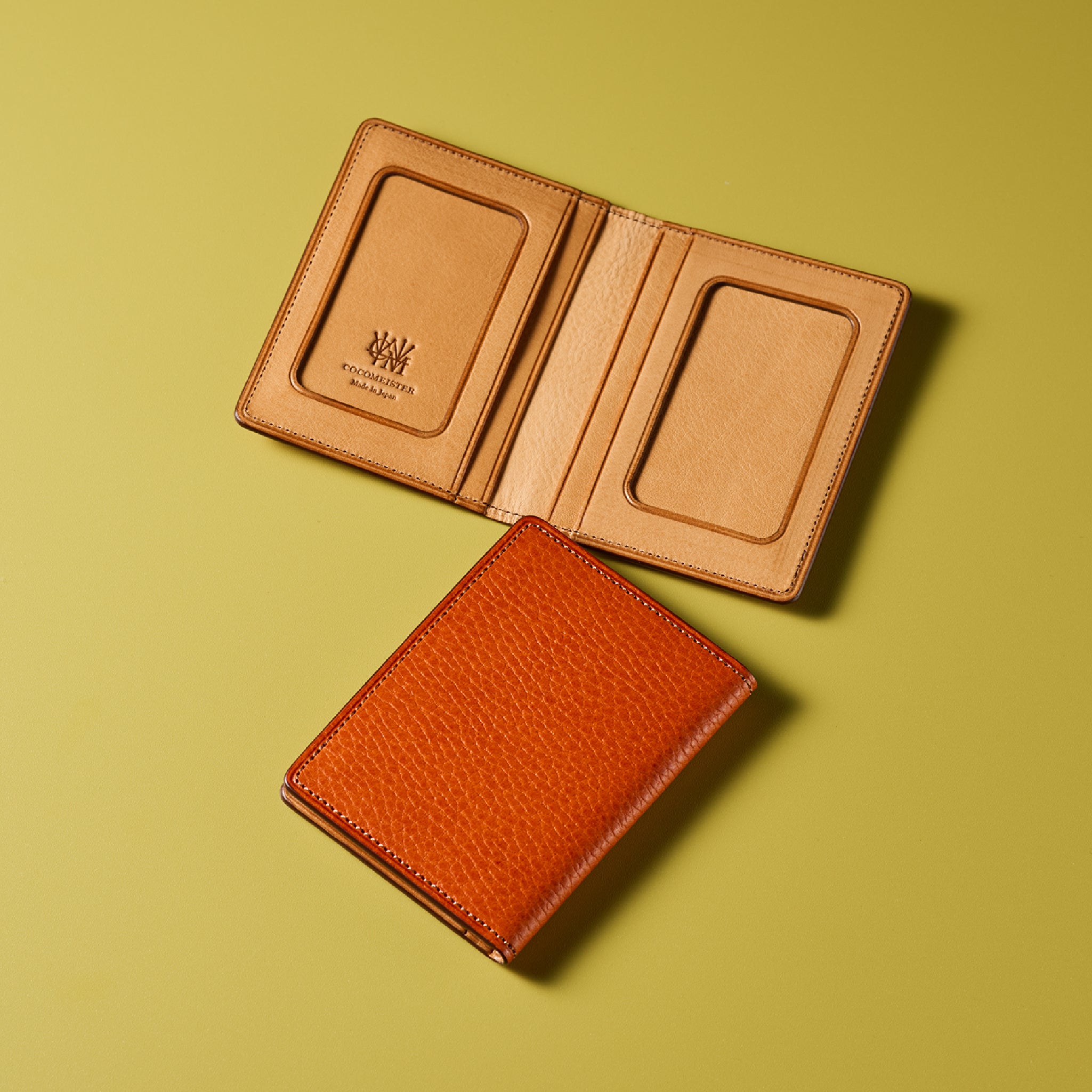 #カラー_アランチョーネ