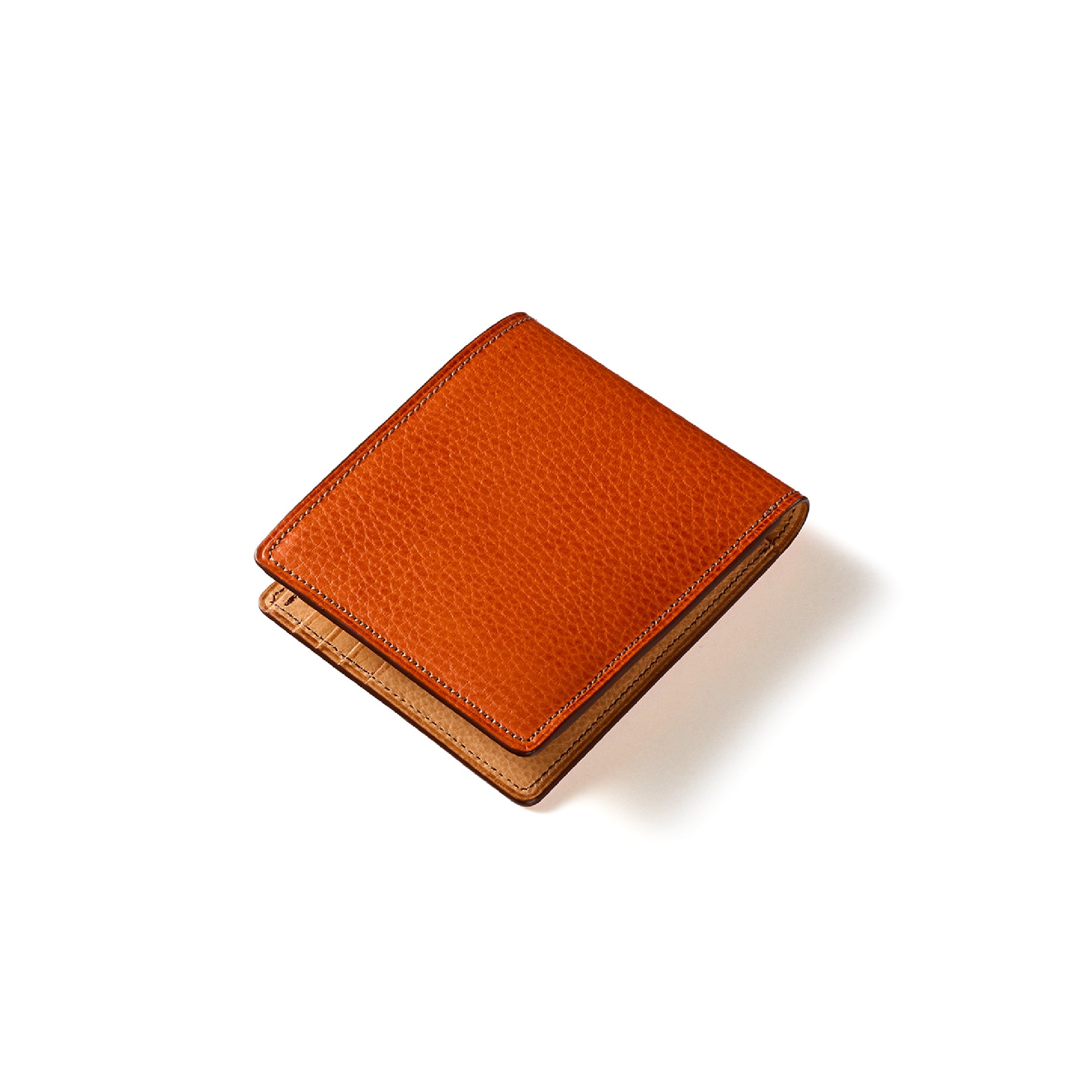 #カラー_アランチョーネ