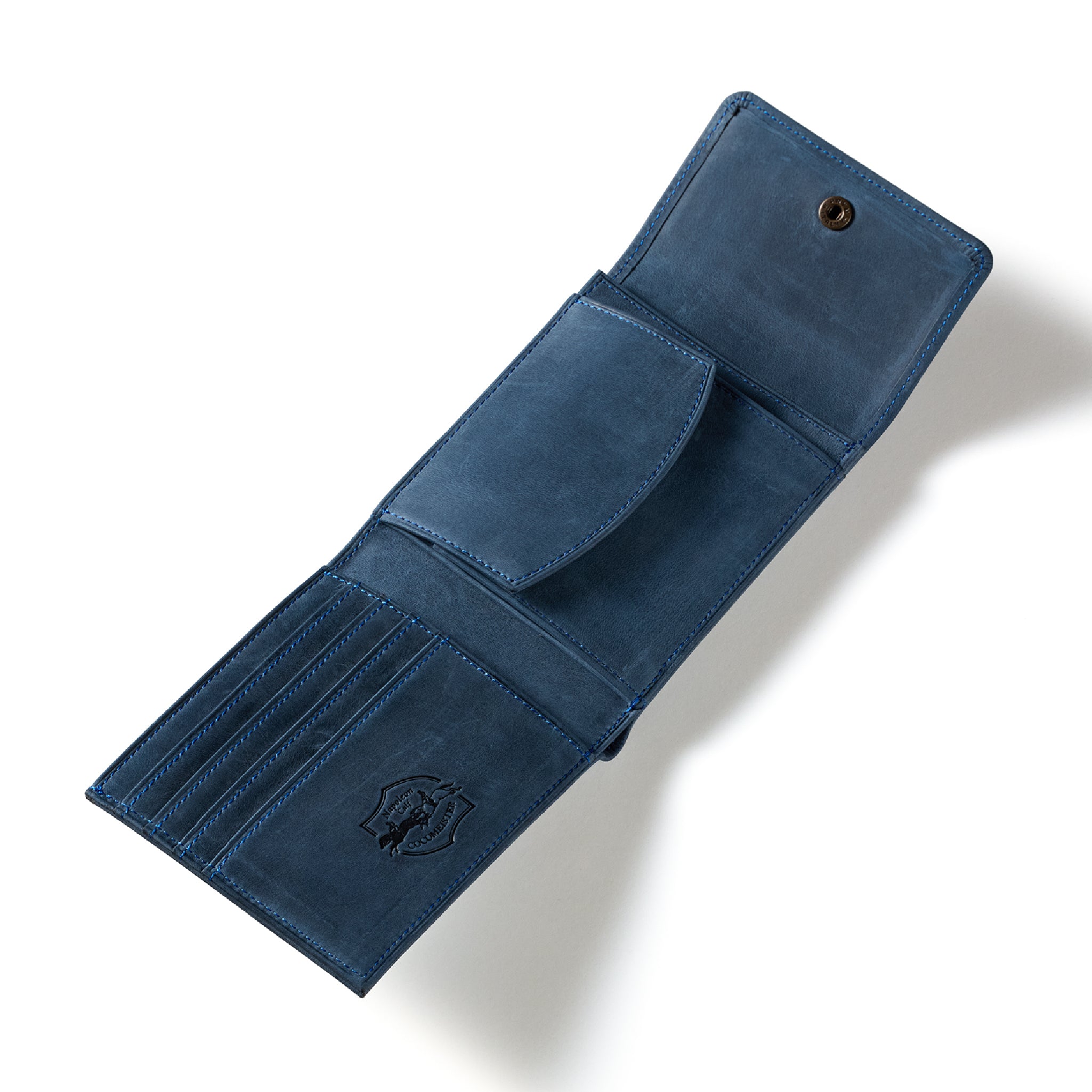 #Color_ワイルドドリーム