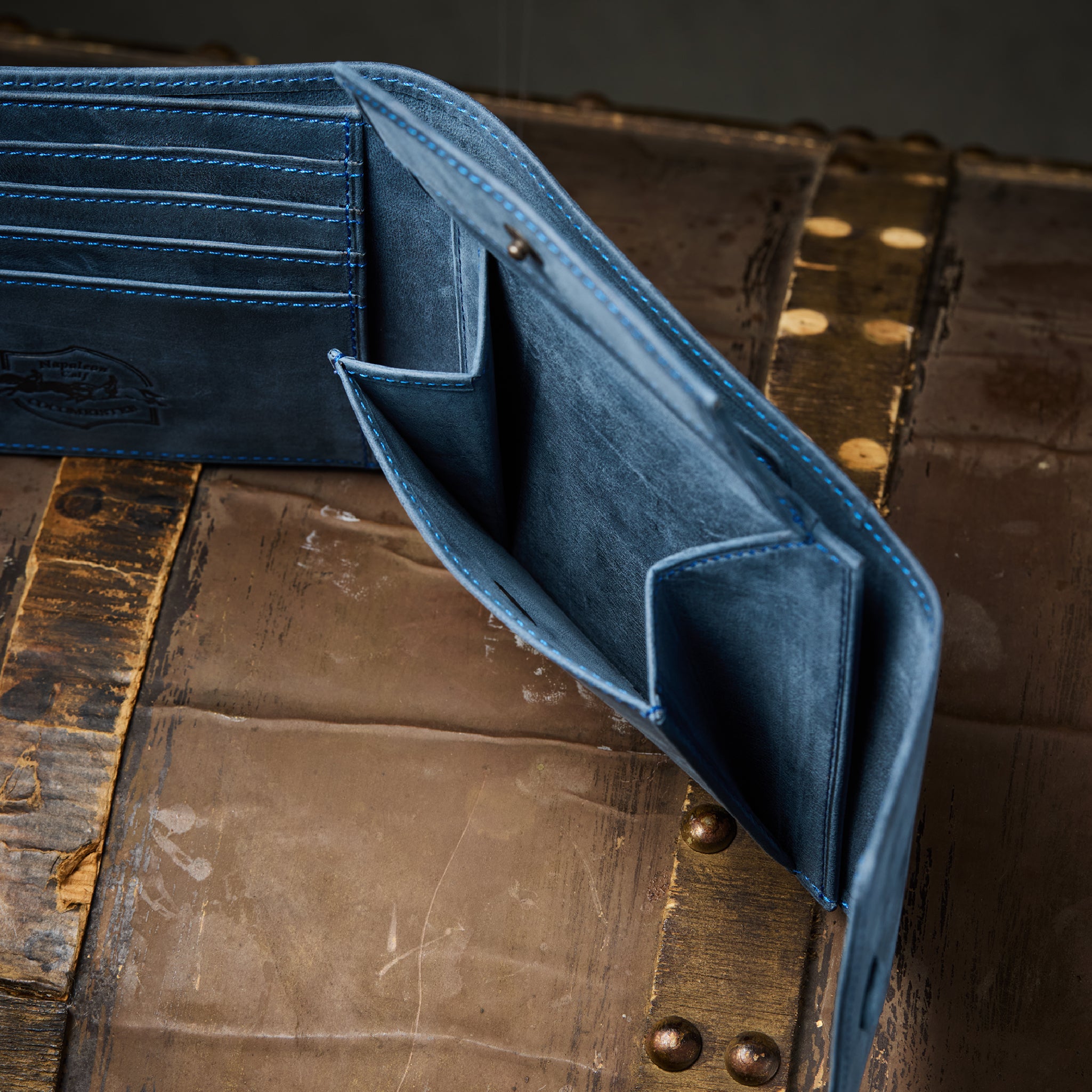 #Color_ワイルドドリーム